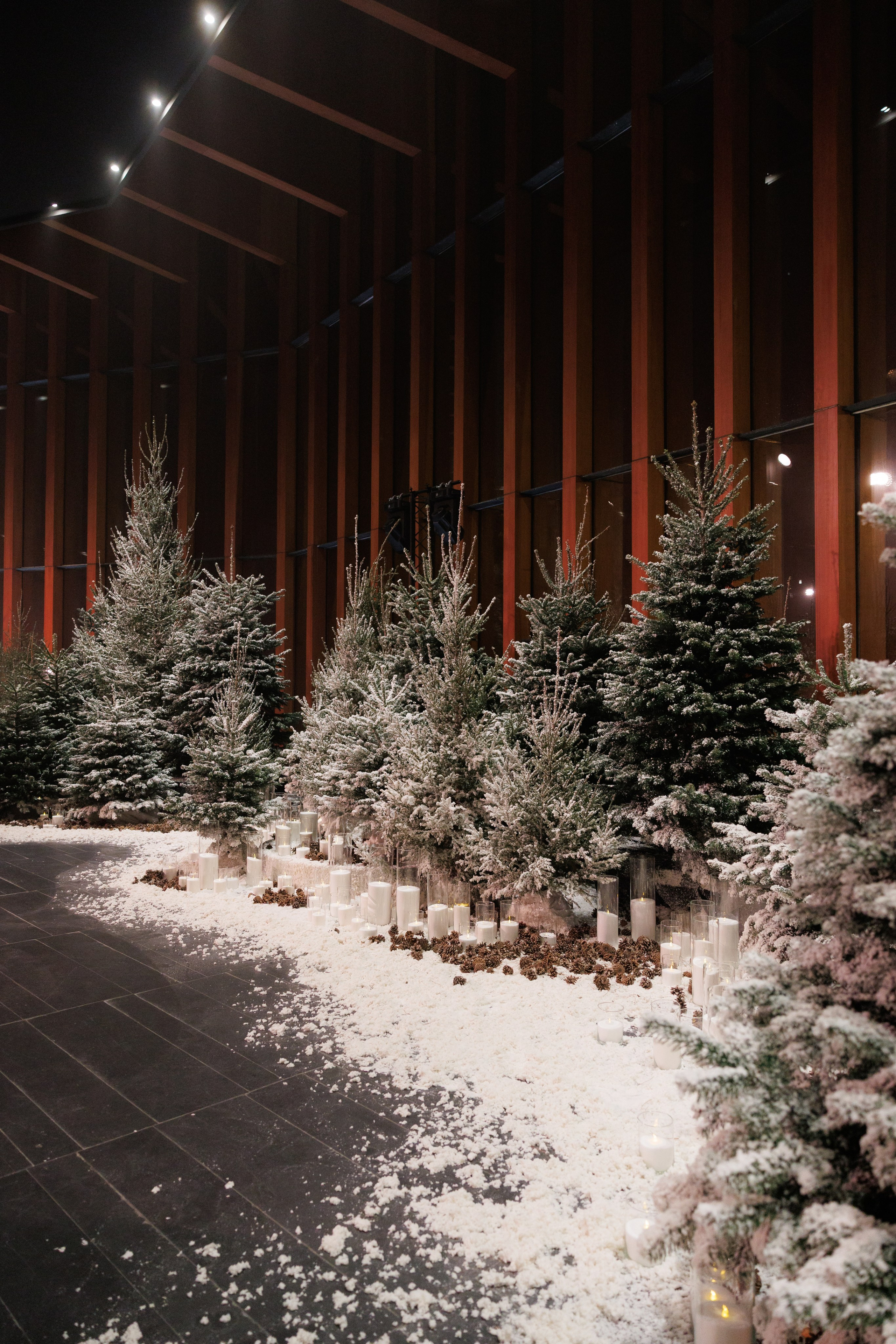 «Снежный Бал» Яны Раскаваловой. «Птичка на проводе»: информационный портал в Москве