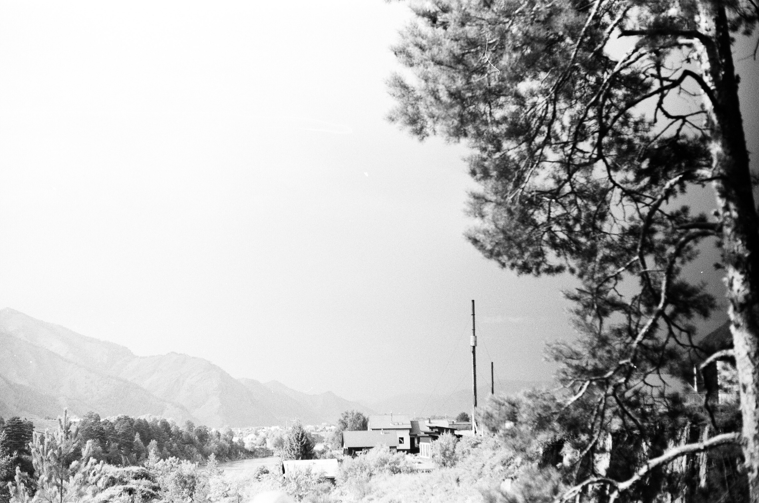 Altai \ august 2022 \ film. Коммерческий Фотограф Виктор Фоменых