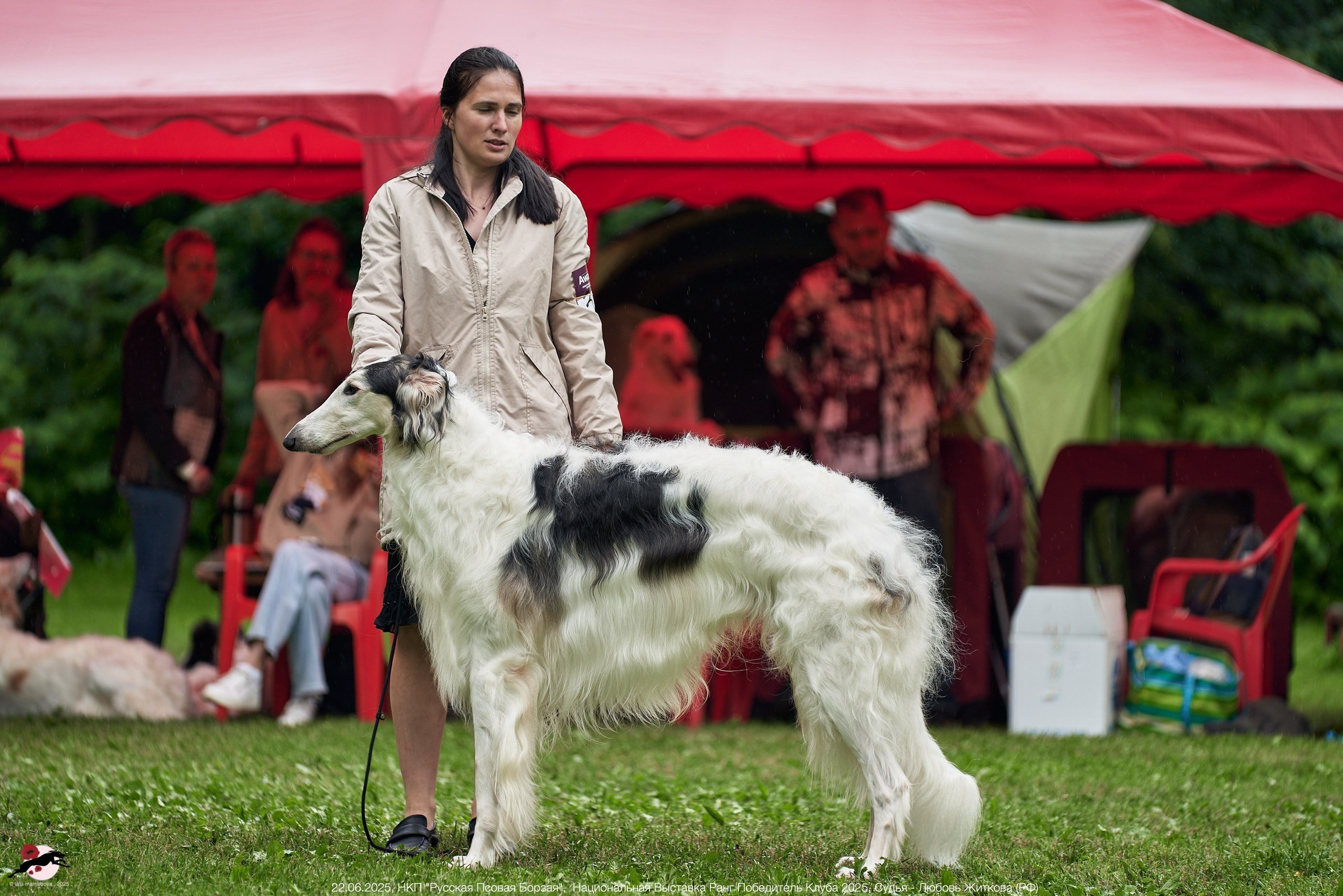 22.06.2025 | Национальная Выставка НКП "Русская Псовая Борзая"