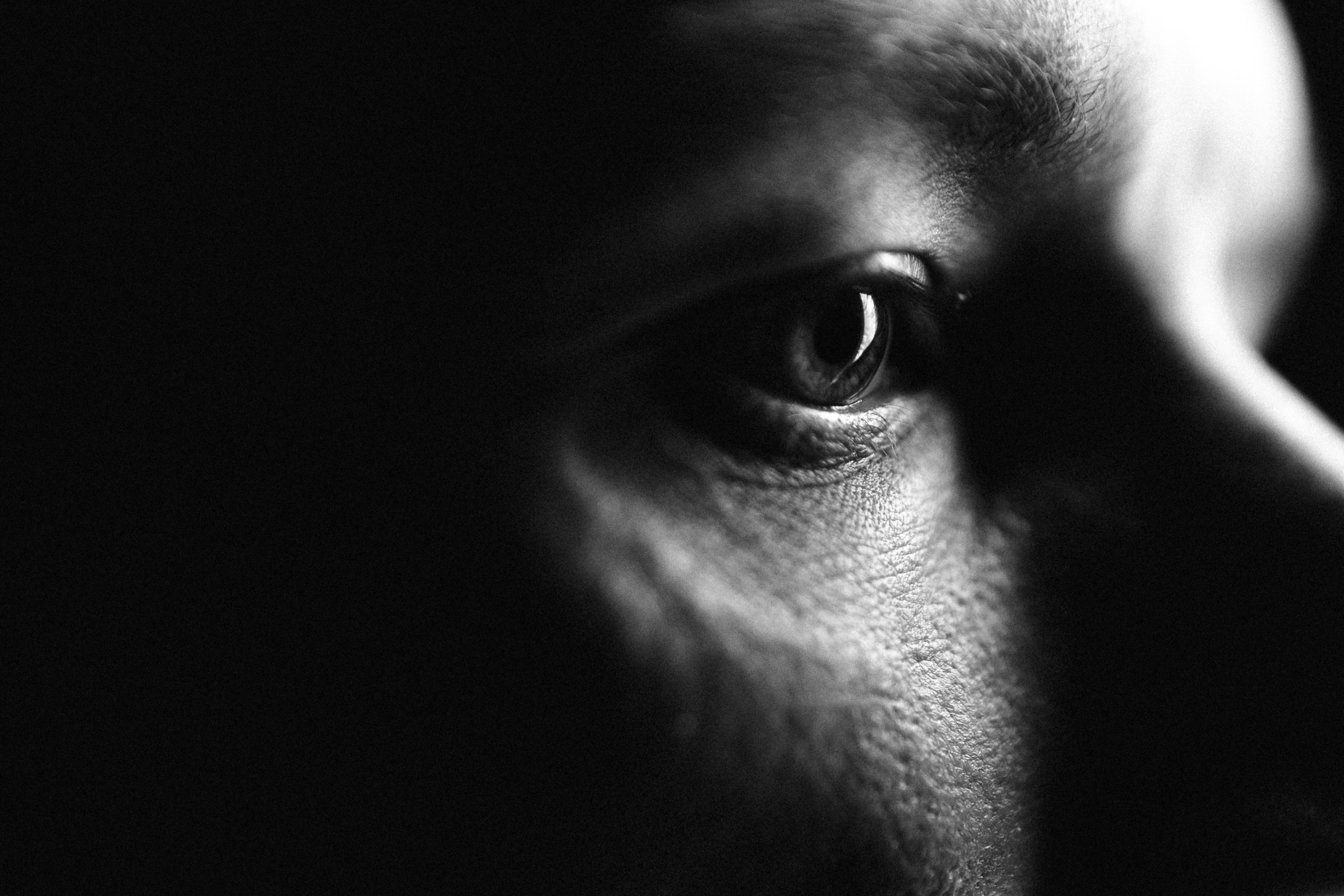 Commercial photographer | Anton Ermakov