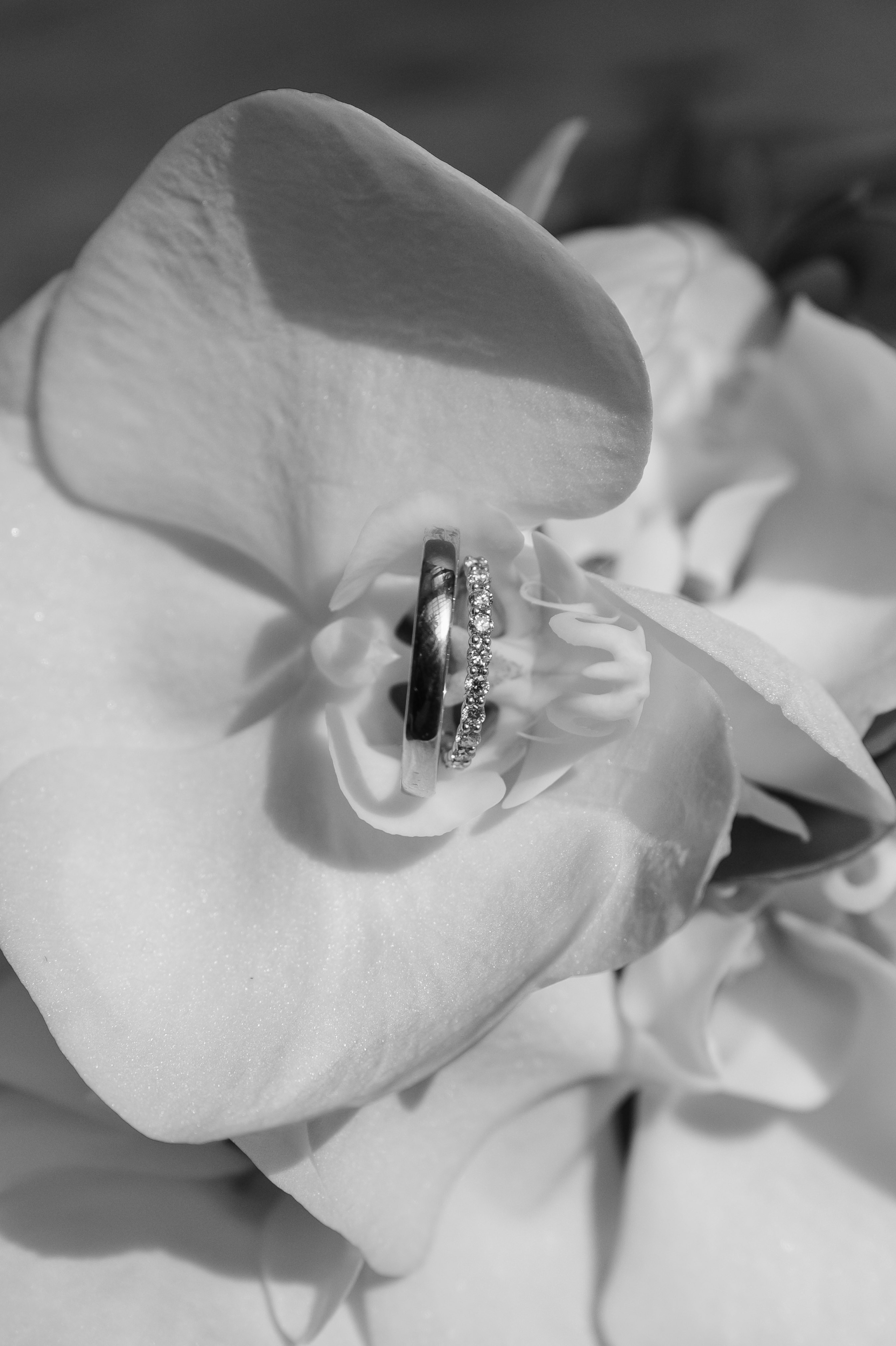 Фотограф Алина Синицина