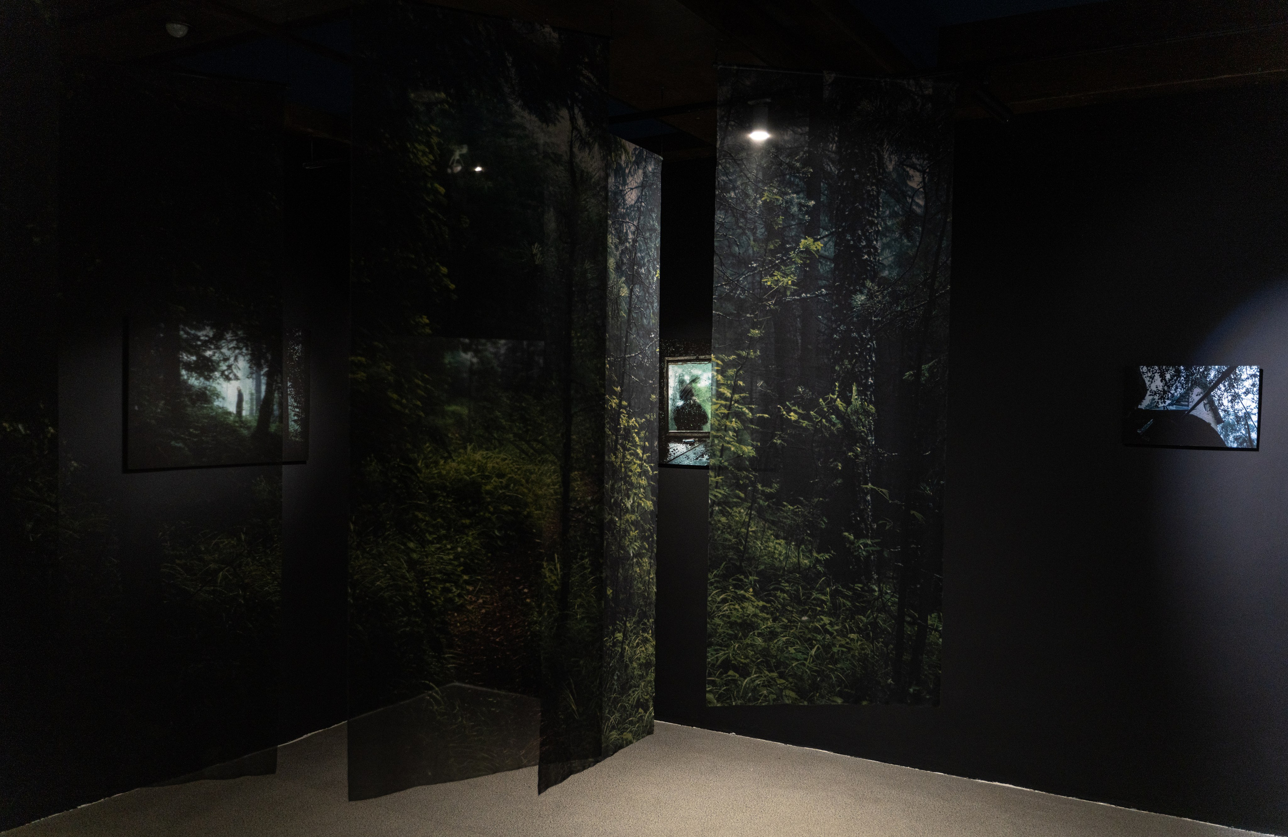 Пристанище. Элина Гусарова