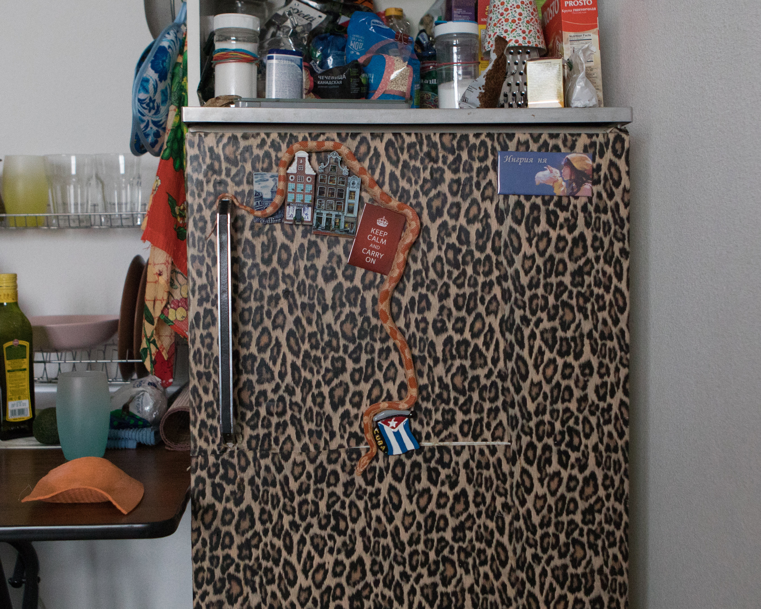 Exotarium. Jana Romanova