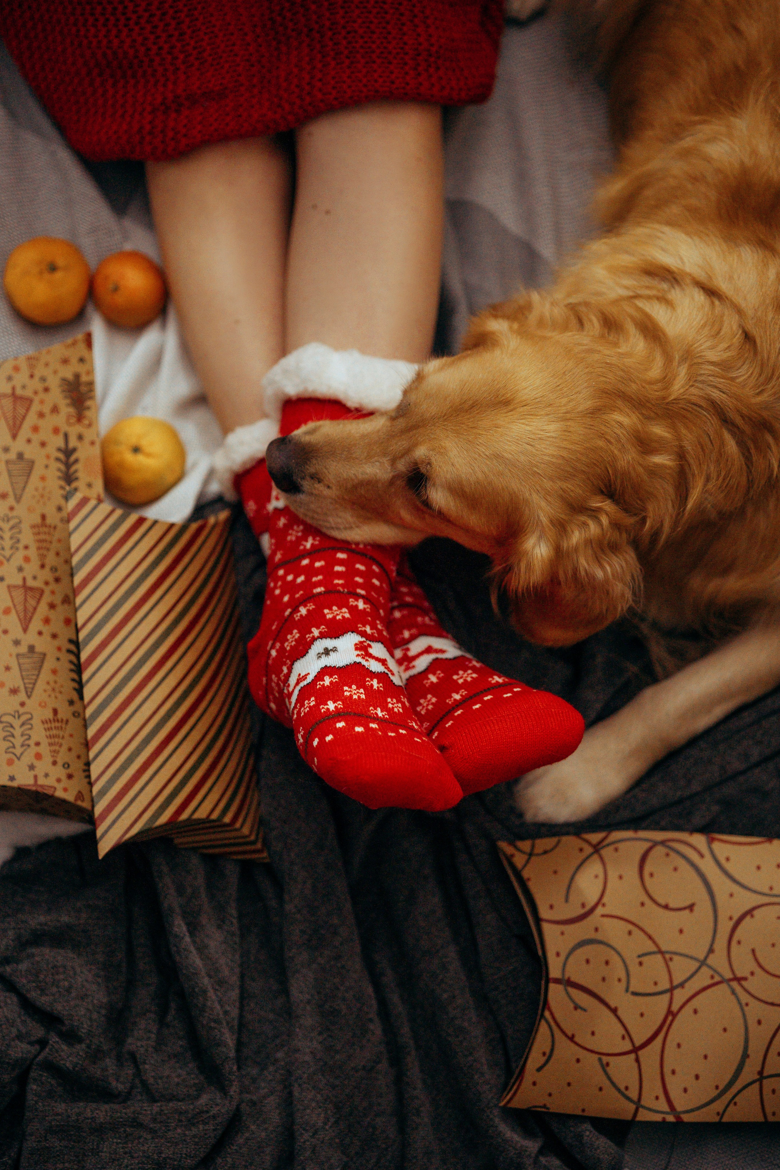 Анастасия Белаш