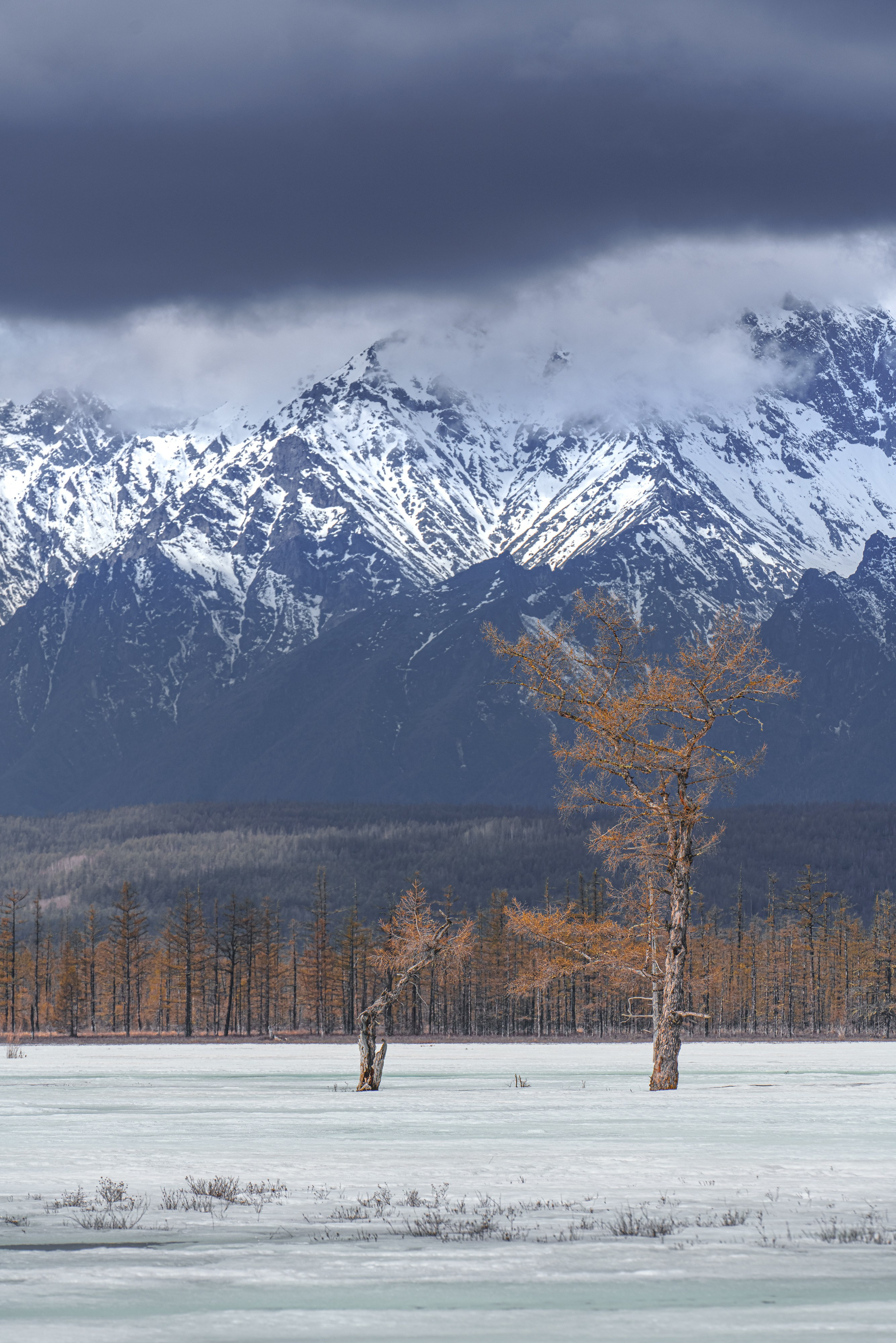 Хребет Кодар