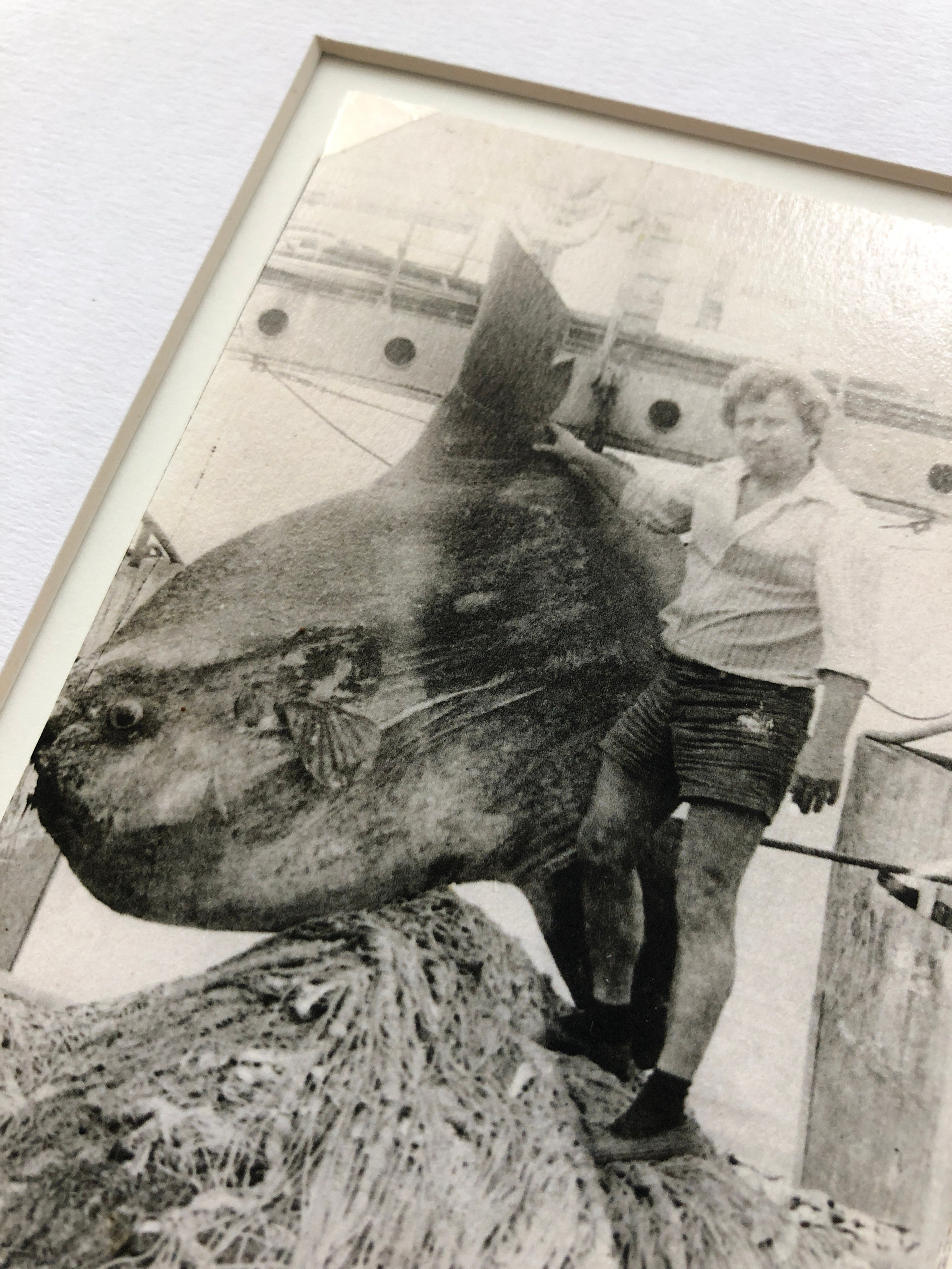 ◽ Соленый альбом. Елена Аносова — художница и исследовательница, куратор и лектор