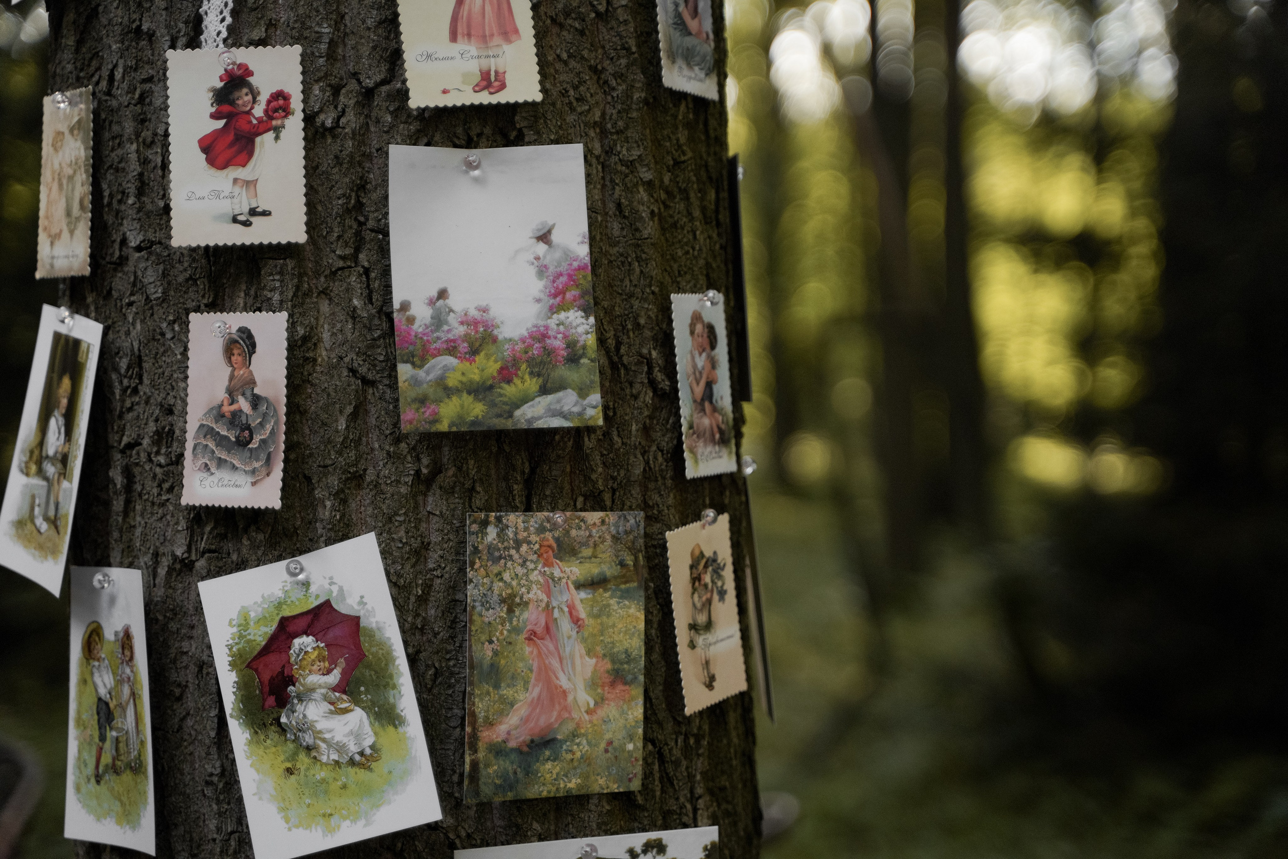 Анна и Андрей. Свадебный фотограф Марина Попова