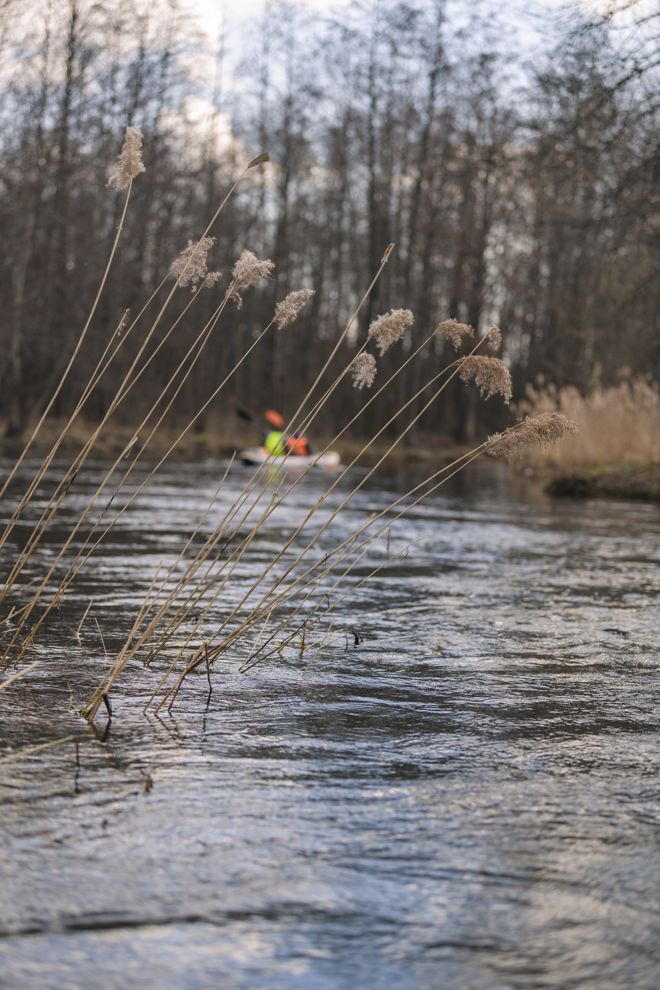 Сплав по реке Ипа 28 марта 2026 года. Репортажный фотограф Владимир Беляй