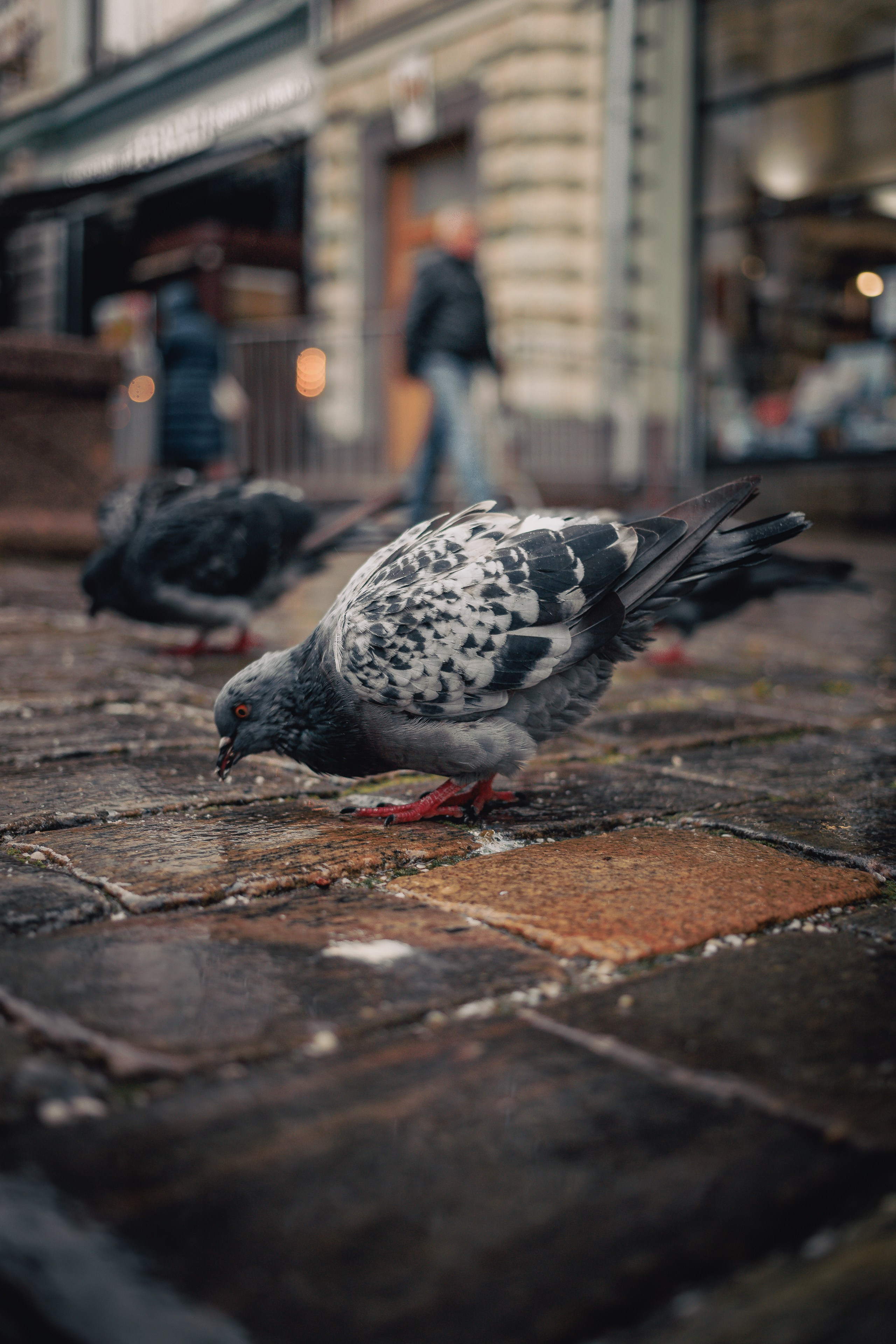 Фото Москвы. Фотошкола ArtFotoLife для начинающих и продвинутых фотографов