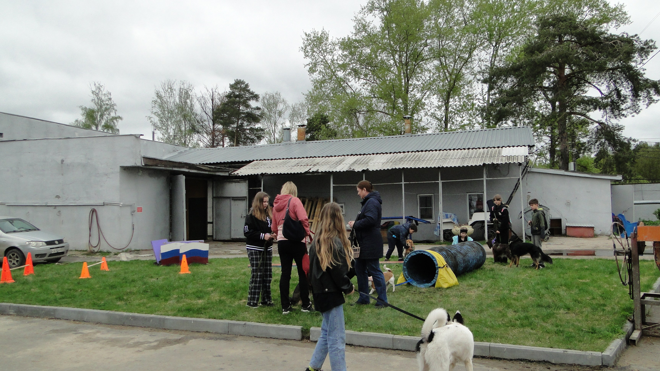 Кинологические старты. НРОО КЦ "Собаковод"
