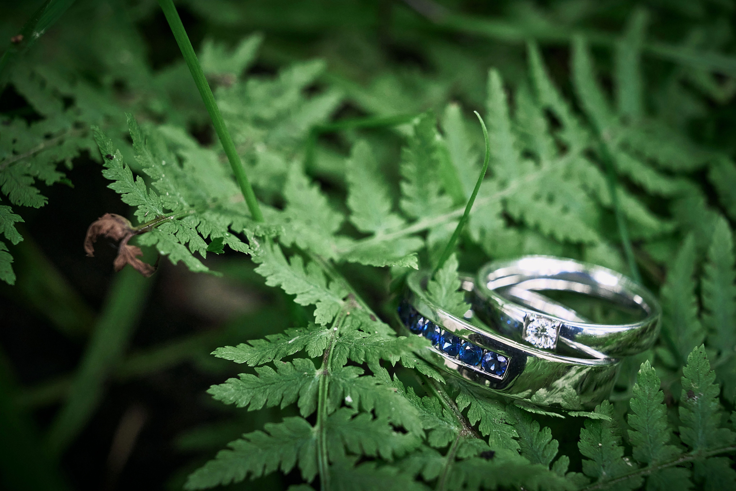 Свадебная Фотосессия в Лесной берег