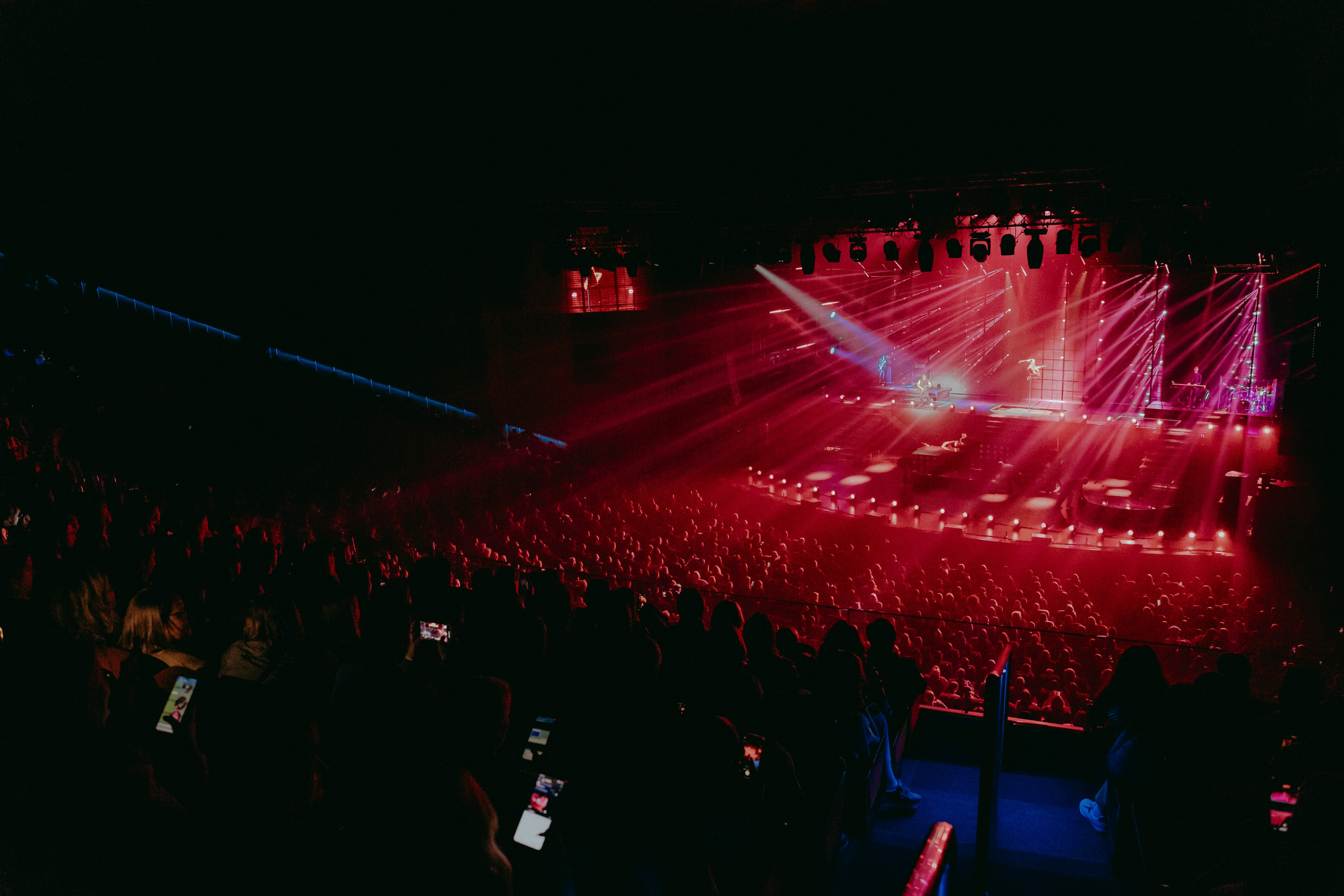 Сергей Лазарев: «Я не боюсь», Crocus City Hall. «Птичка на проводе»: информационный портал в Москве