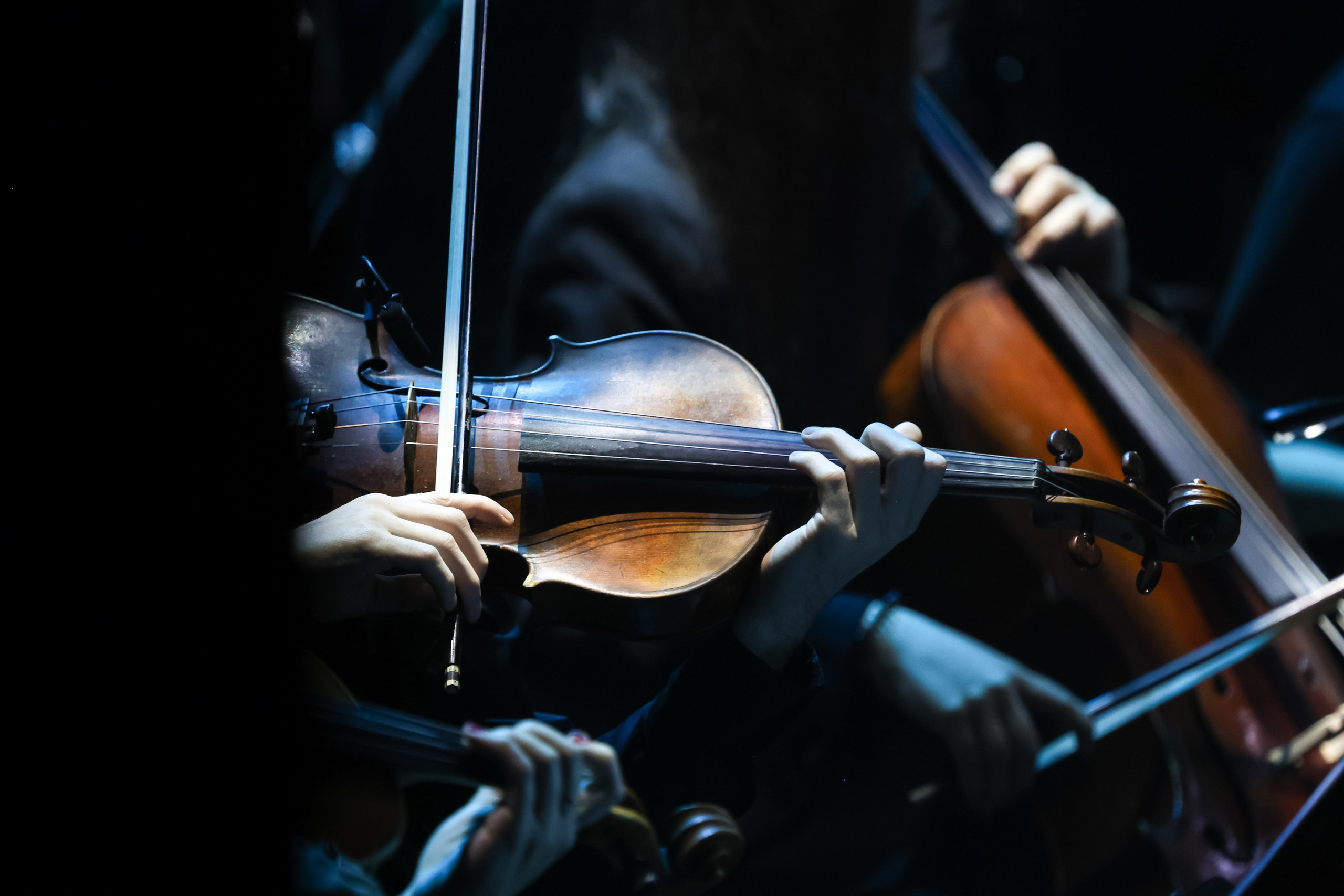 Репортажный фотограф в Москве Екатерина Якель