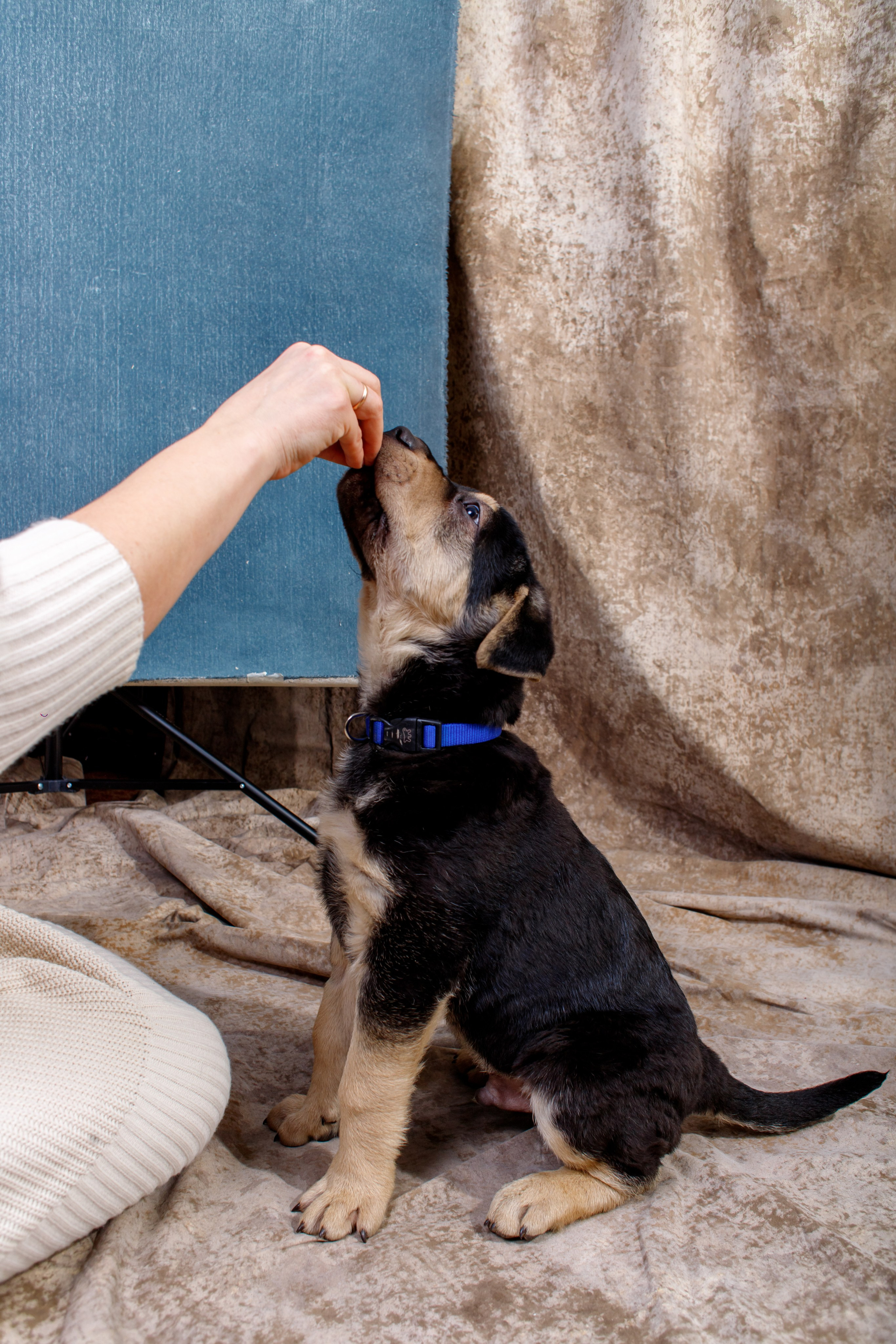 Благотворительный фотомарафон. ПРОПАГАНДА молодёжный продюсерский центр