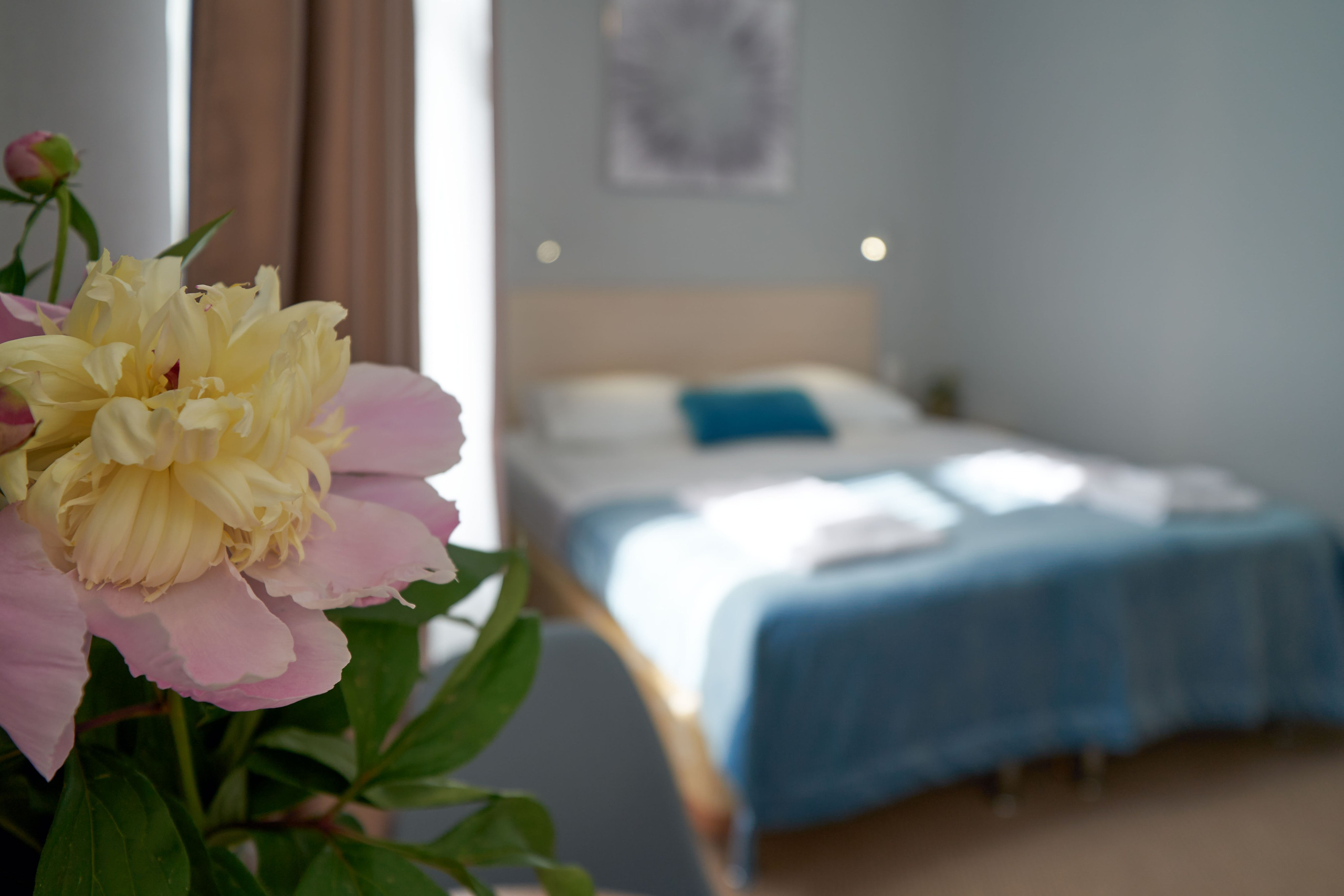 Real Estate. Pavel Stepanov photo, video, drone filming