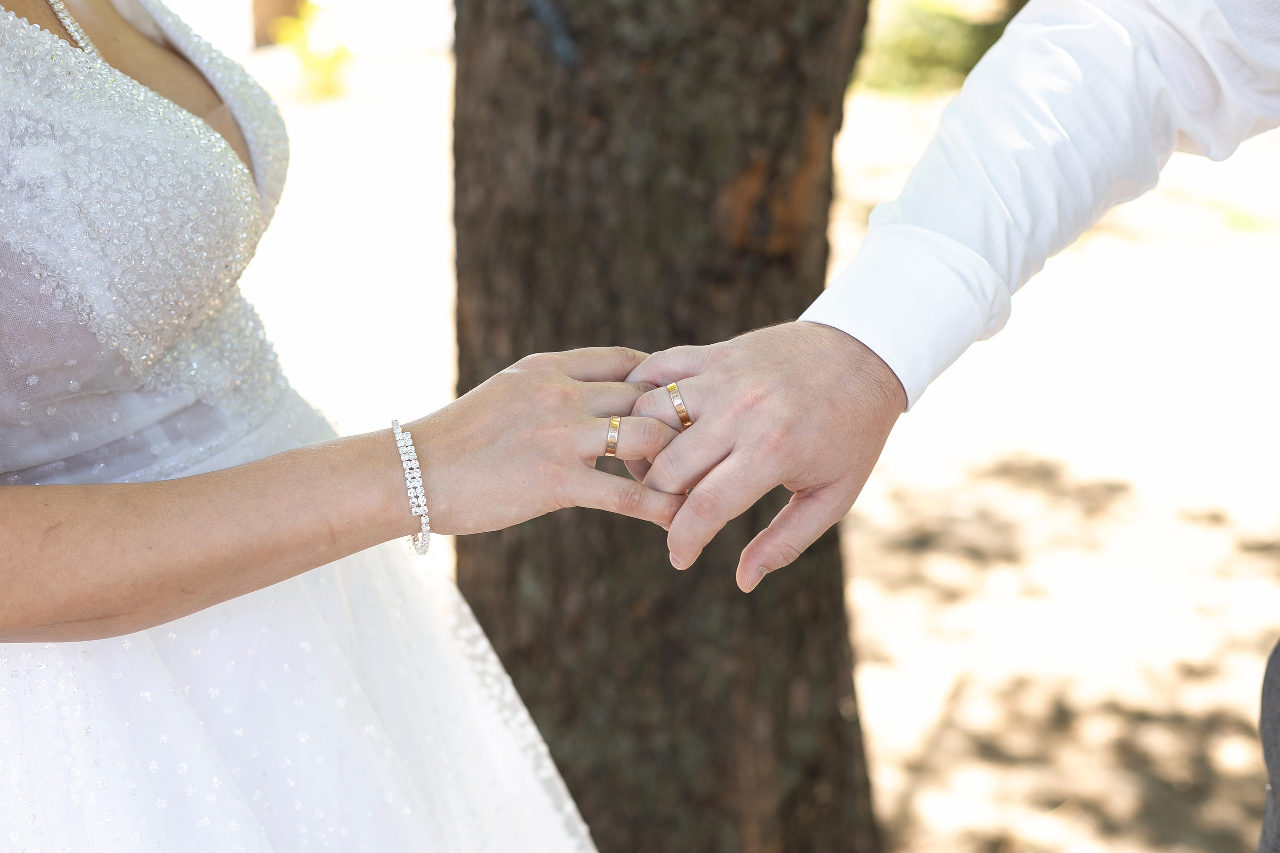 Свадьба 17.08. Выпускной альбом Шахты Ростов