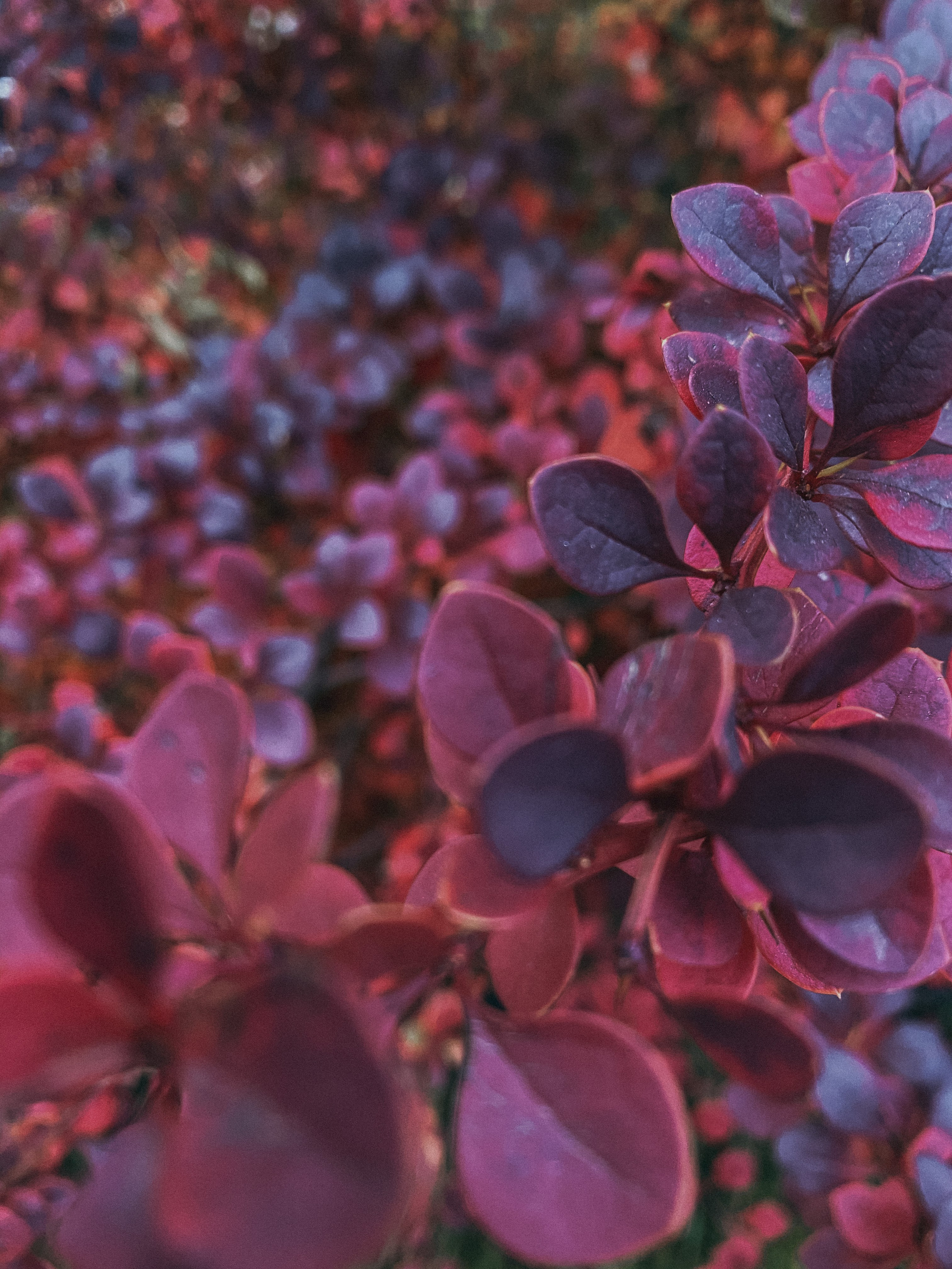 Фототур в Сортавала