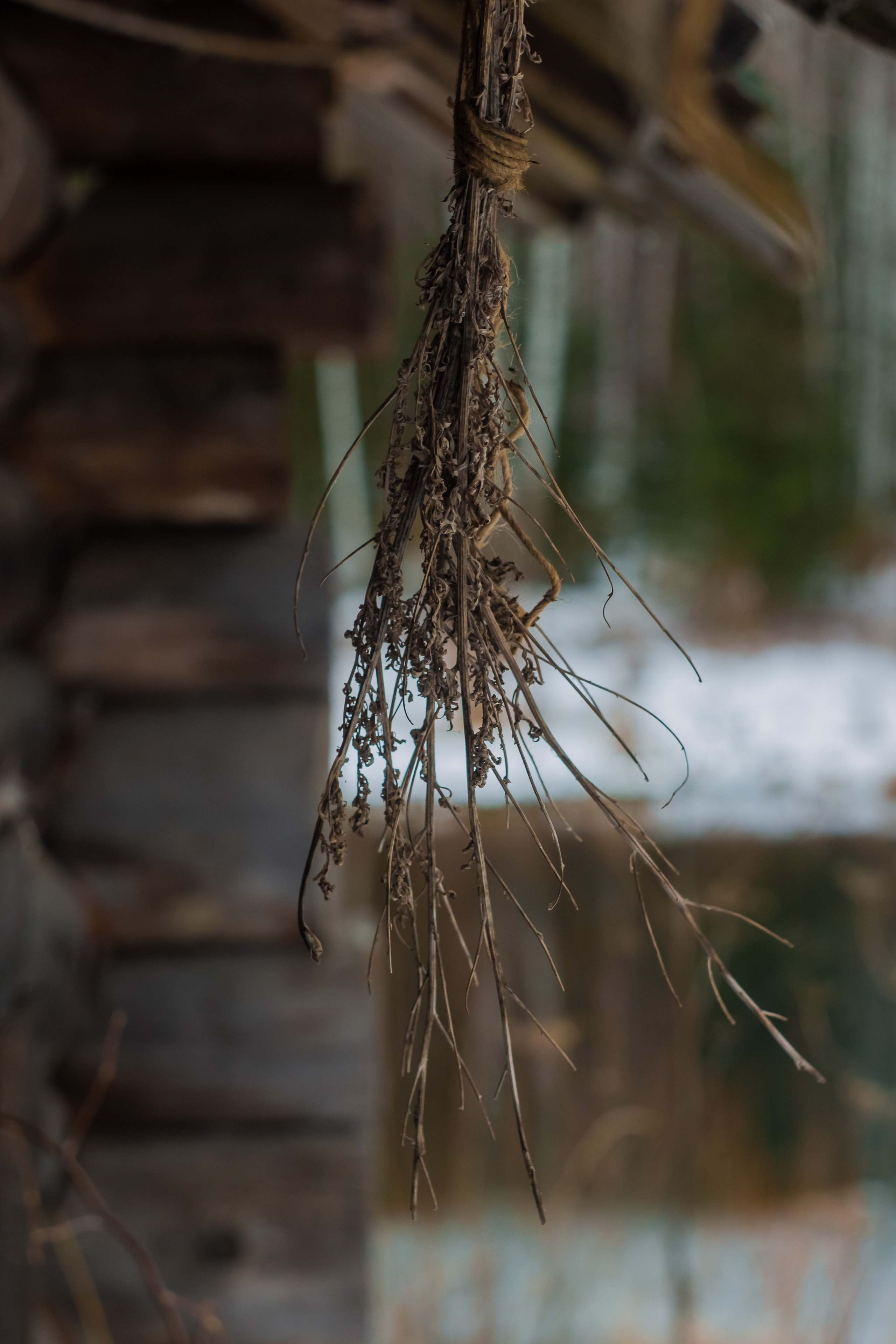 Кинодекорации в деревне "Слобода", Октябрь, 2023 год. Фотограф Переверзева Анна Екатеринбург