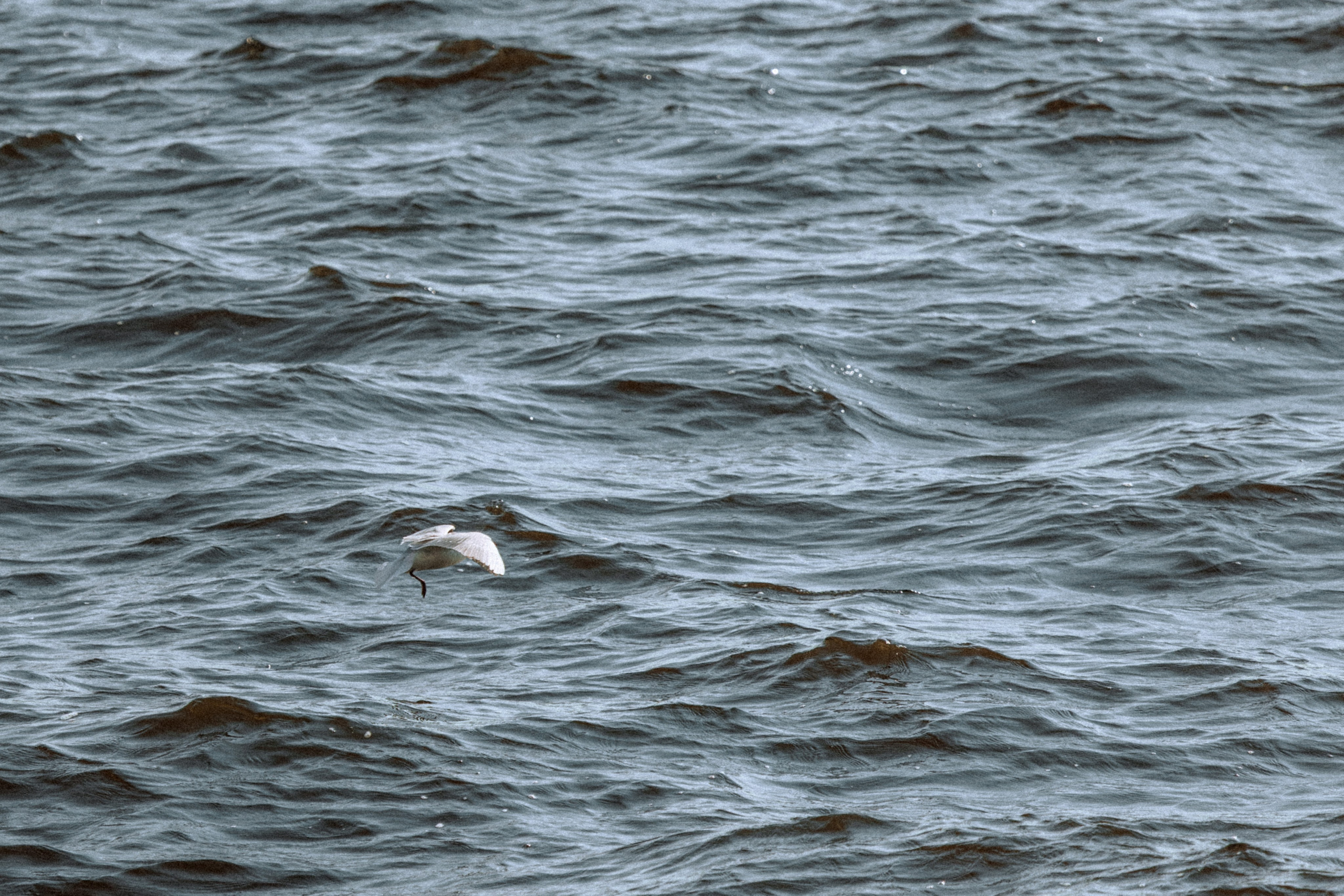 Stereoleto 2025. Фотограф Балаев Михаил