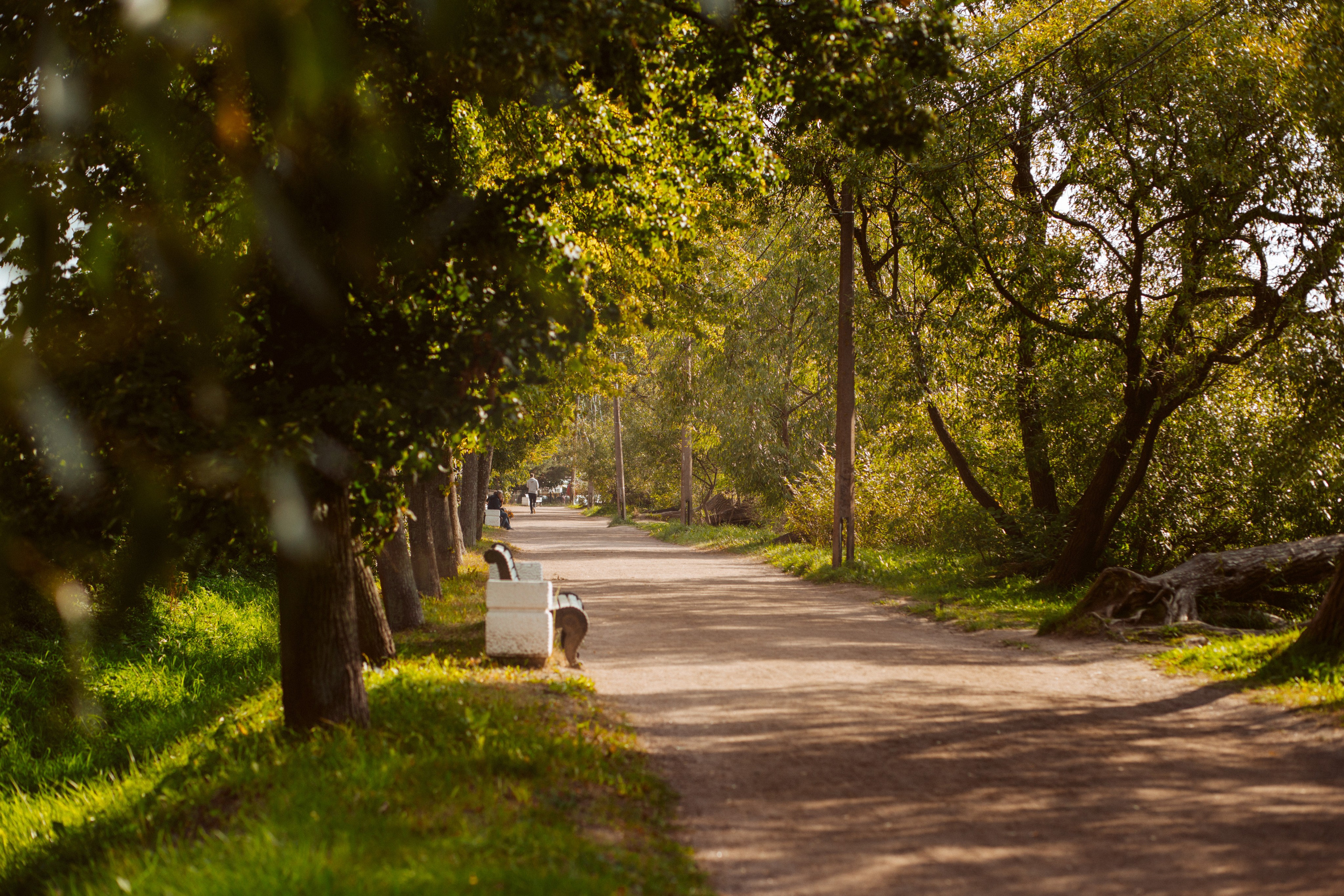 ФОТОСЕССИЯ В ПЕТЕРГОФЕ. ГДЕ СНИМАТЬ В ПЕТЕРГОФЕ