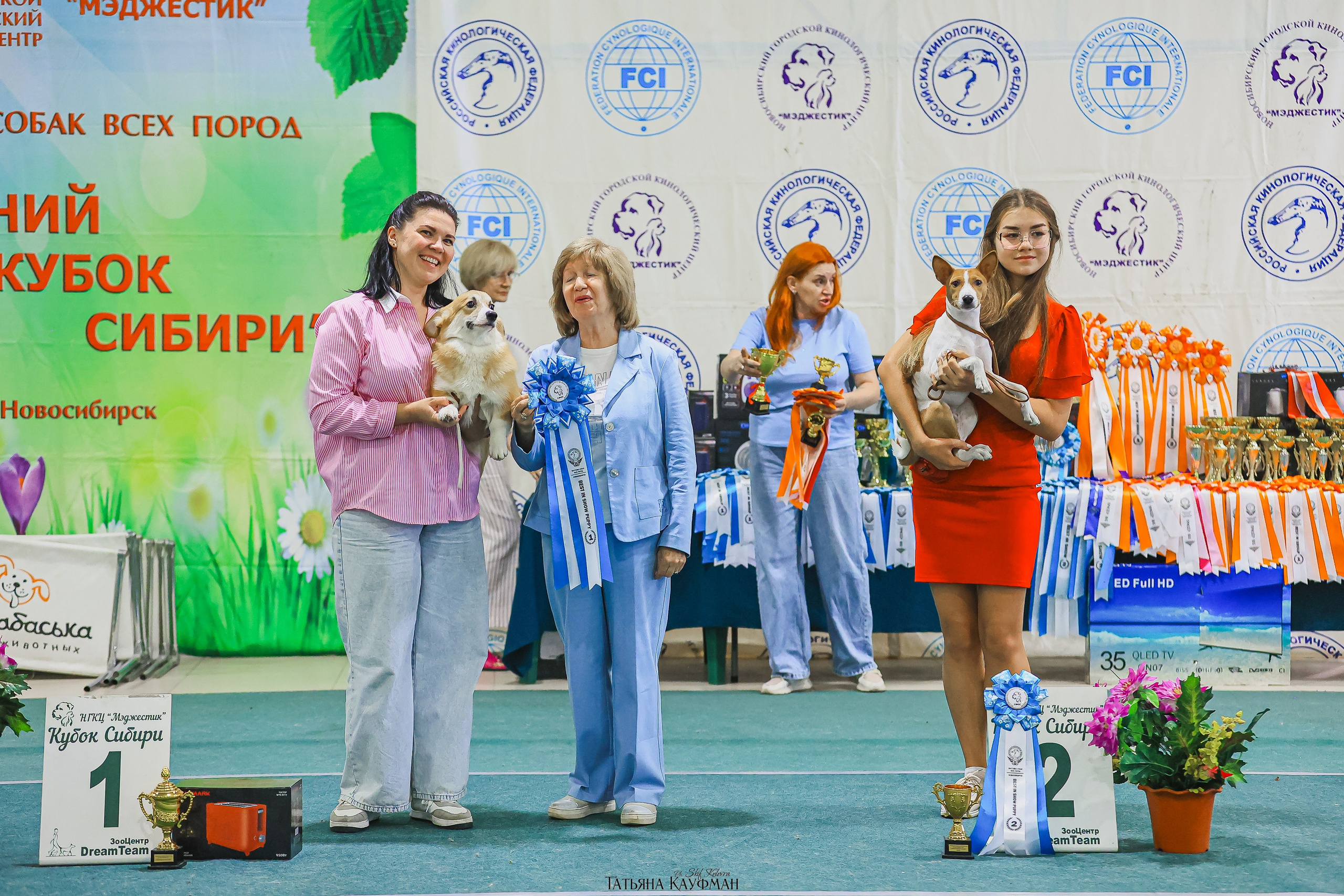 13.07.25 2х выставки собак. Новосибирск. «Кубок Сибири»