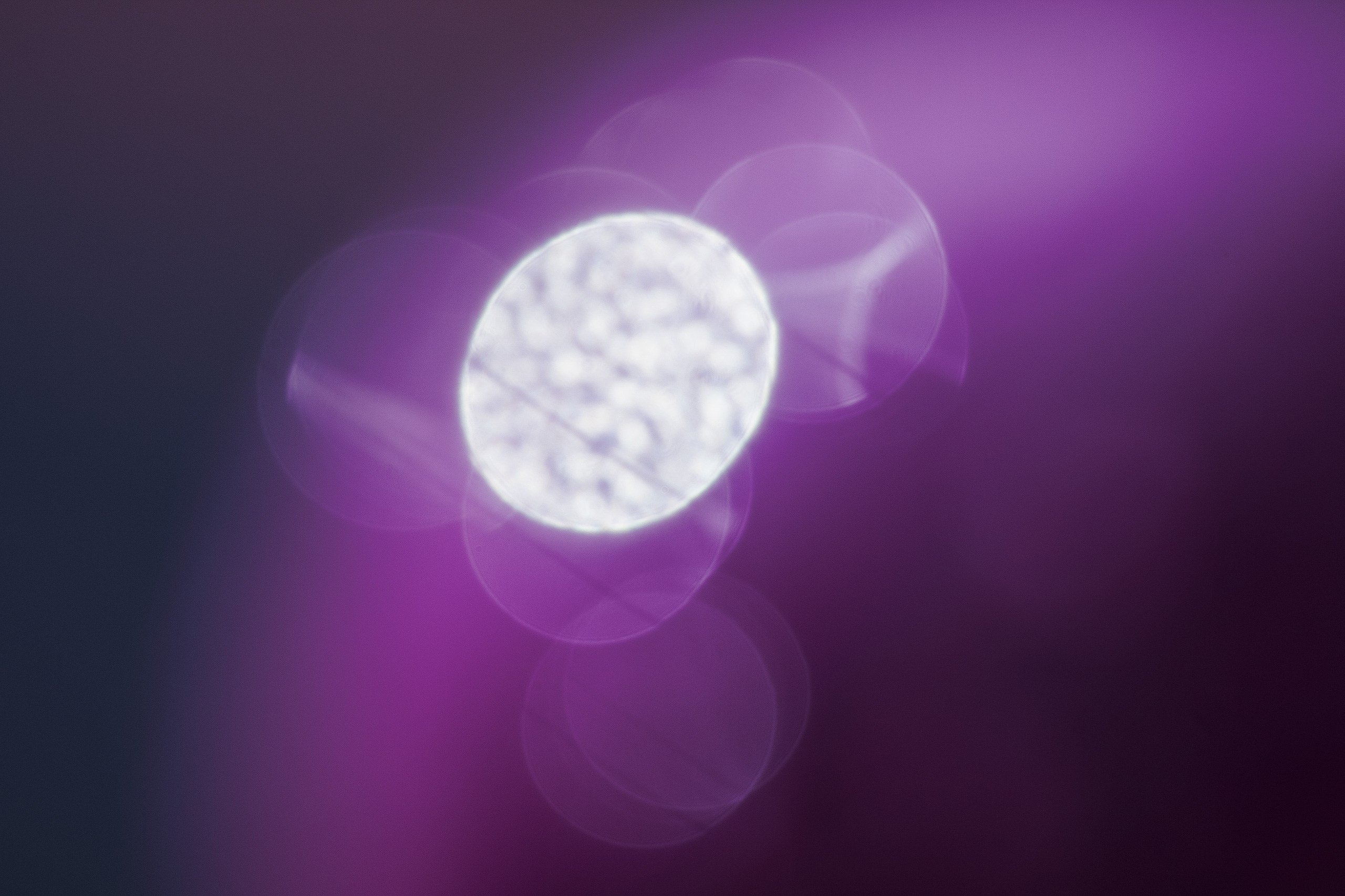 Обнуление — Обновление. Аmat Victoria Сuram