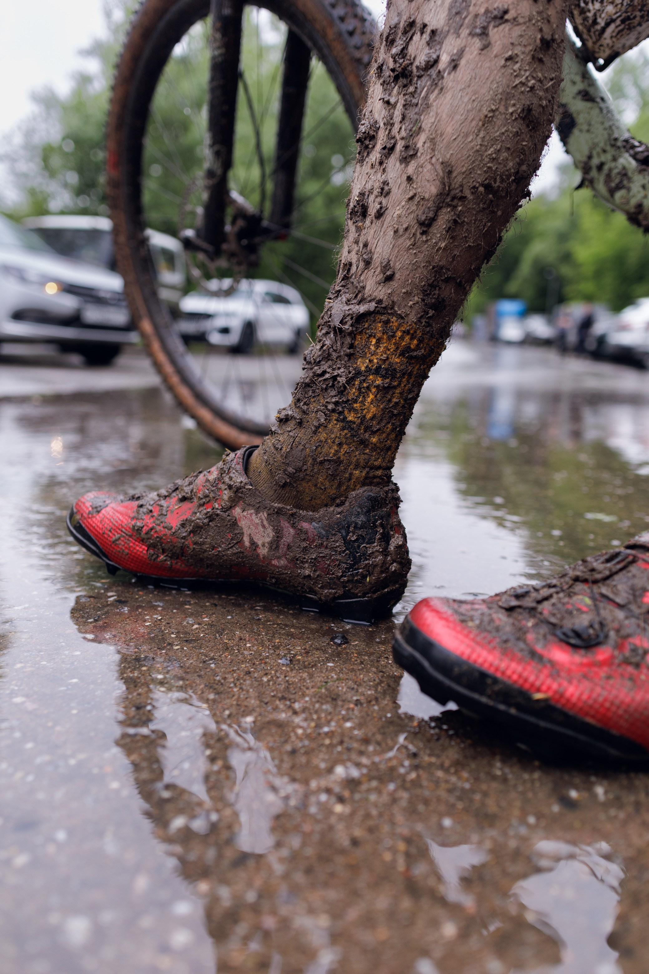 CityTrail Битца от Wild Trail