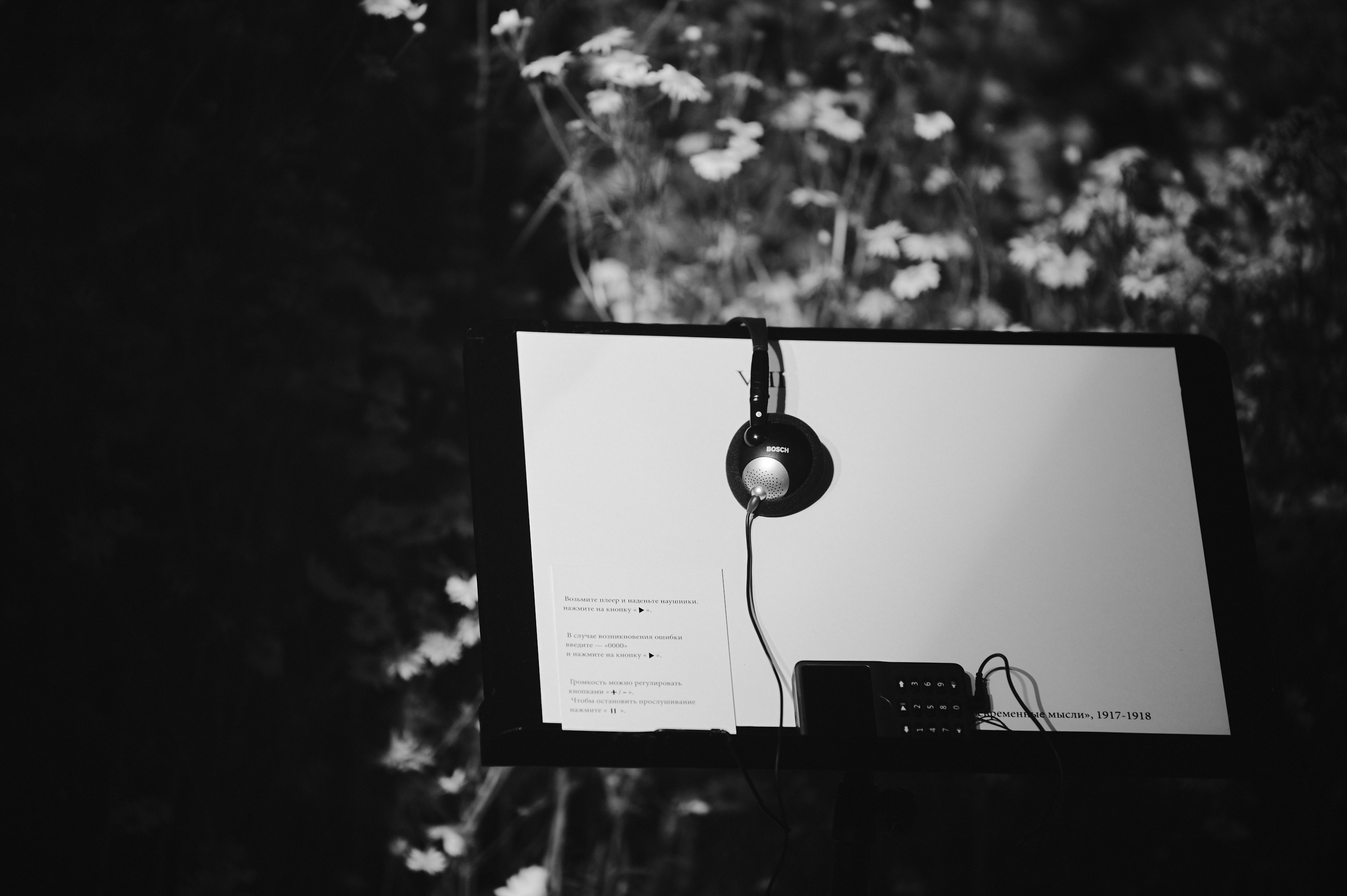 Прайс. Коммерческий фотограф в Казани Ксения Добролюбова