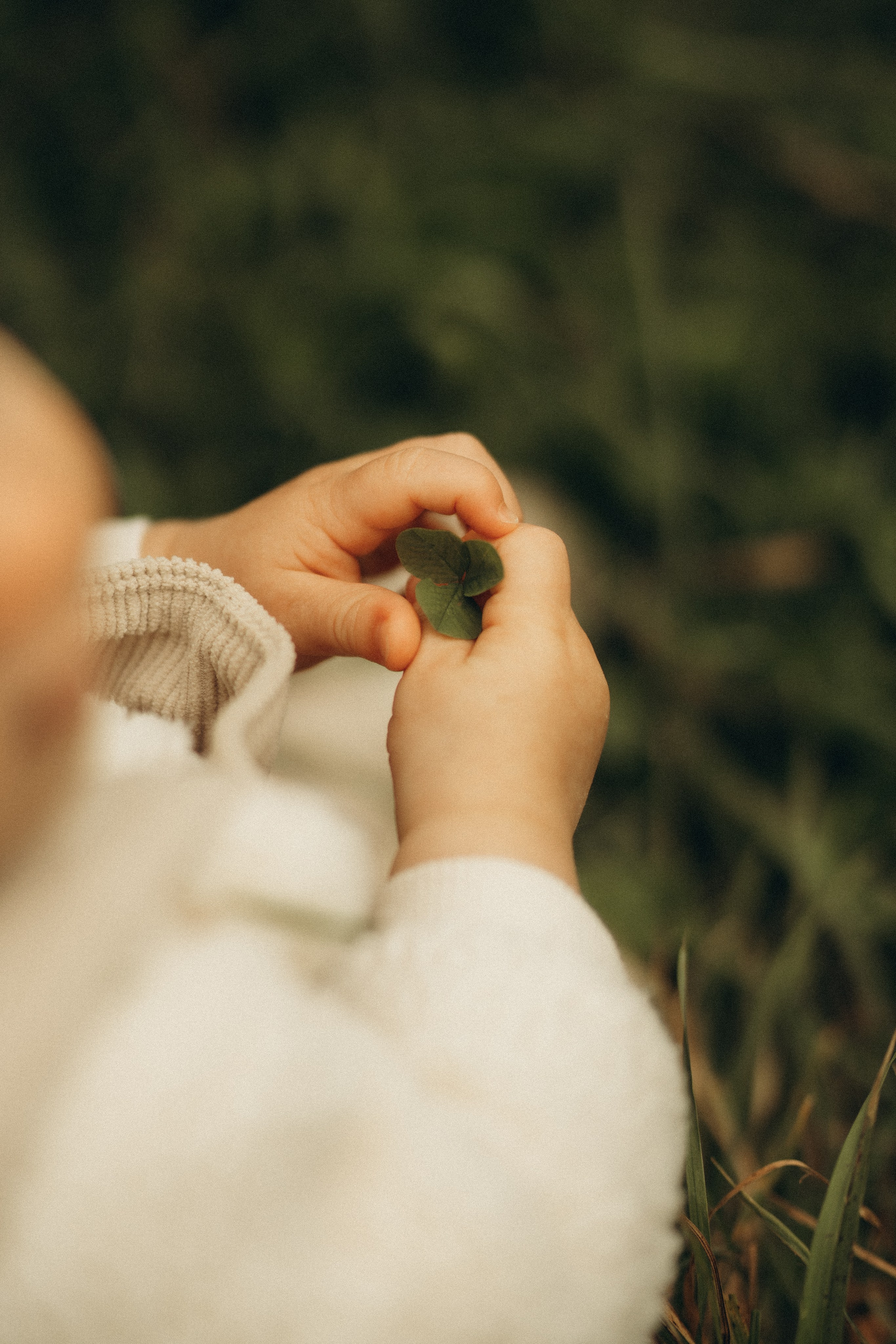 Семейная фотосессия в Ярославле на природе. Семейный фотограф Вероника Каюрова Ярославль