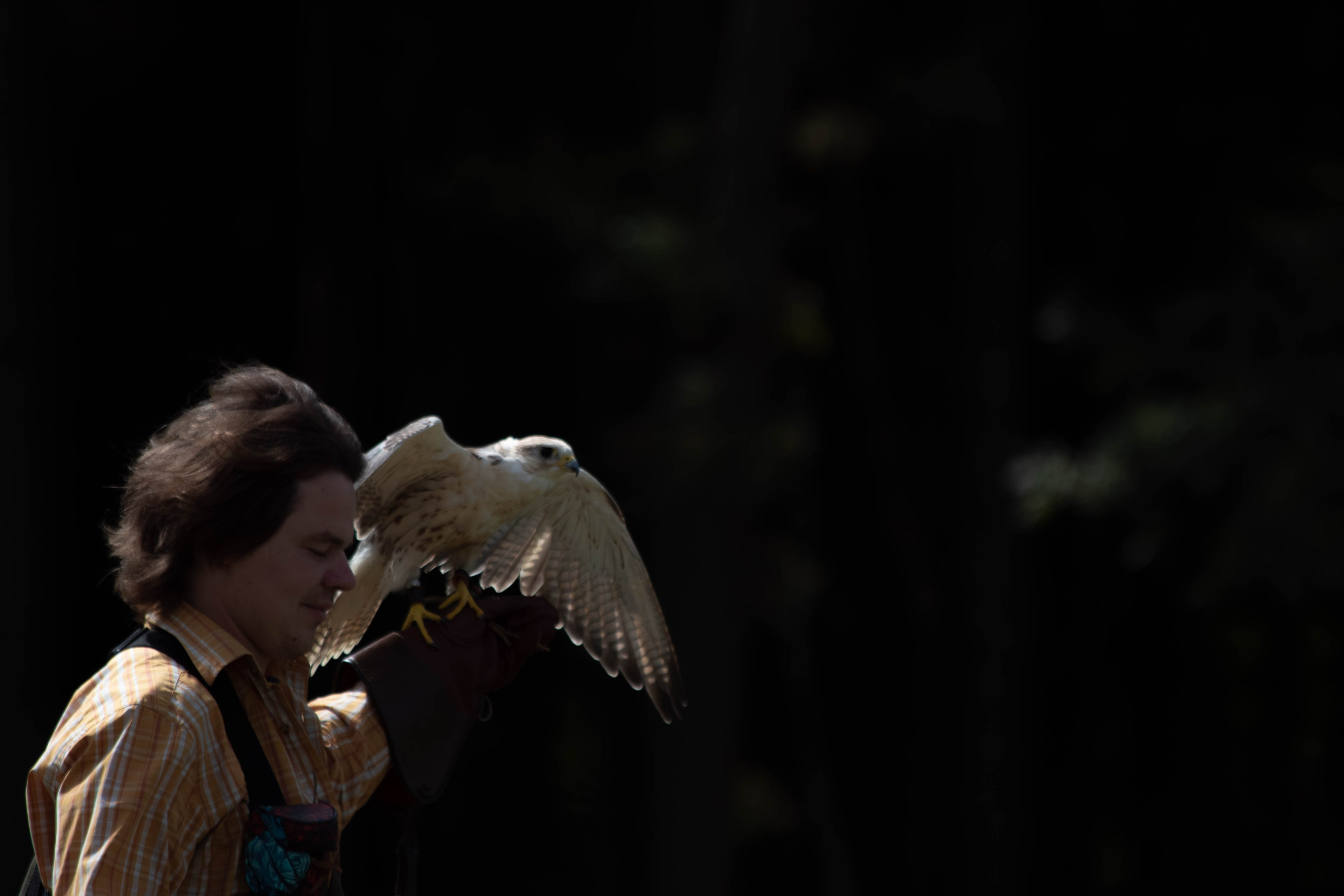 Охота как искусство Ясная поляна. Фотограф анималист — Тула, Москва