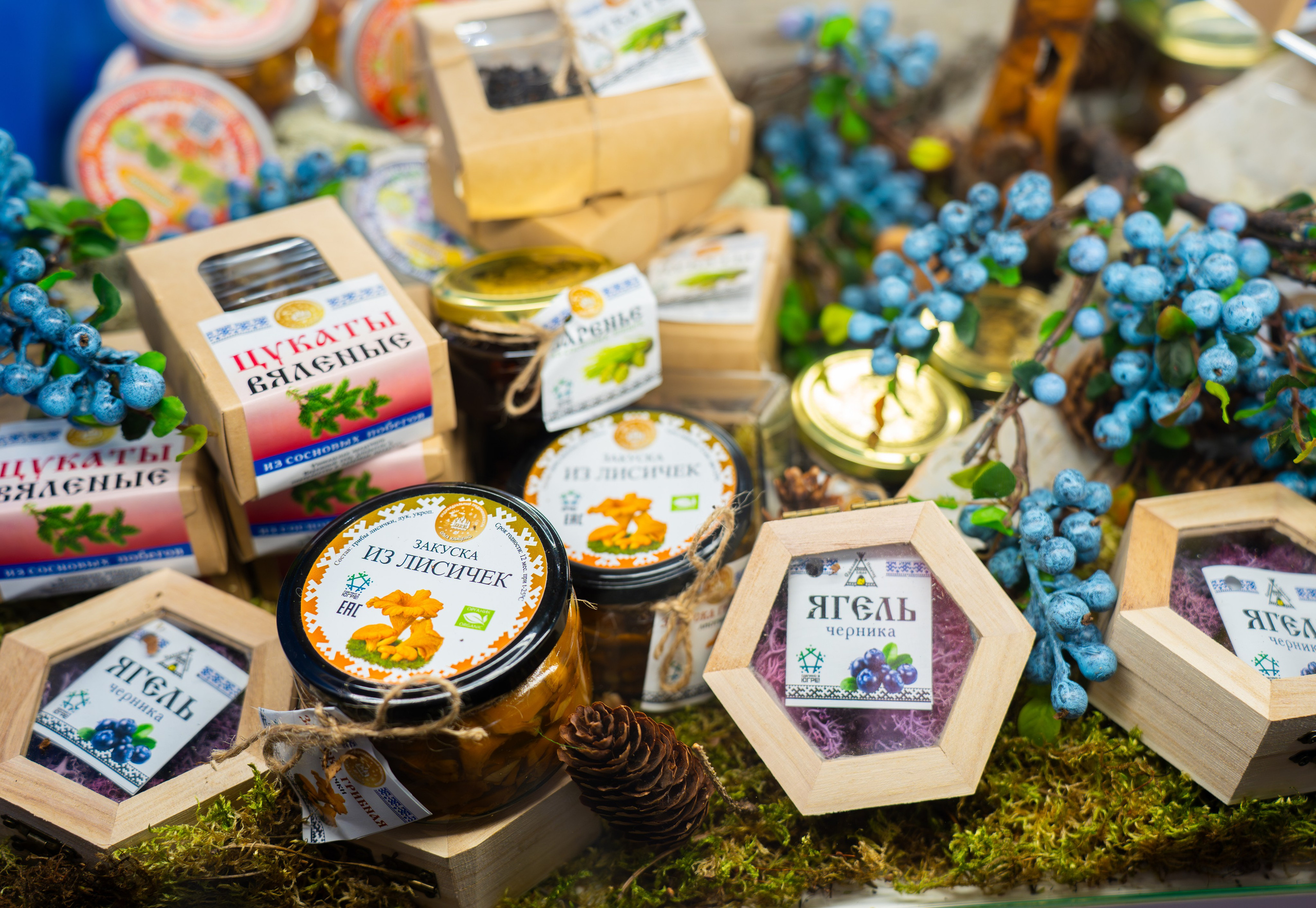 World food 2024 в Москве. Репортажный фотограф в Москве Вадим Галанин