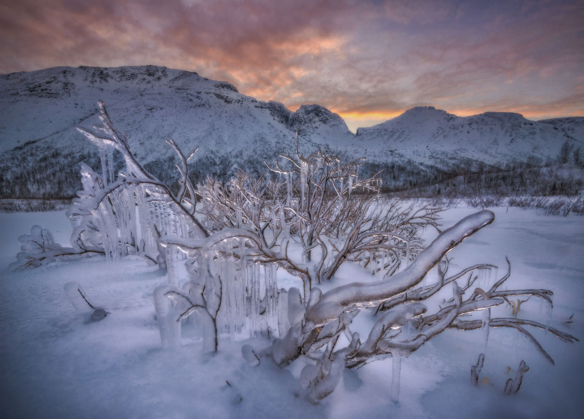 Фототур на Кольский полуостров 2026