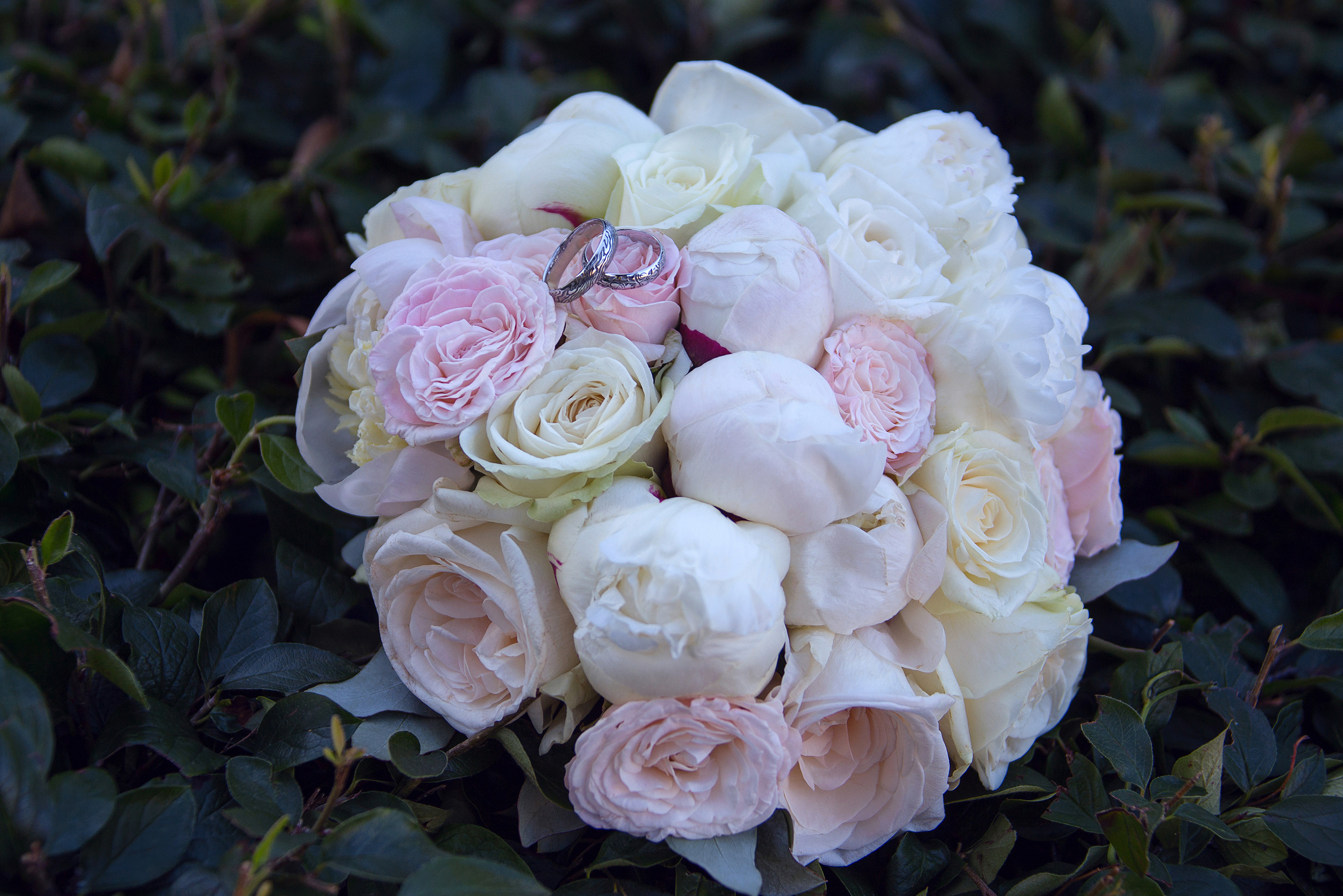 Фотограф на свадьбу в Москве