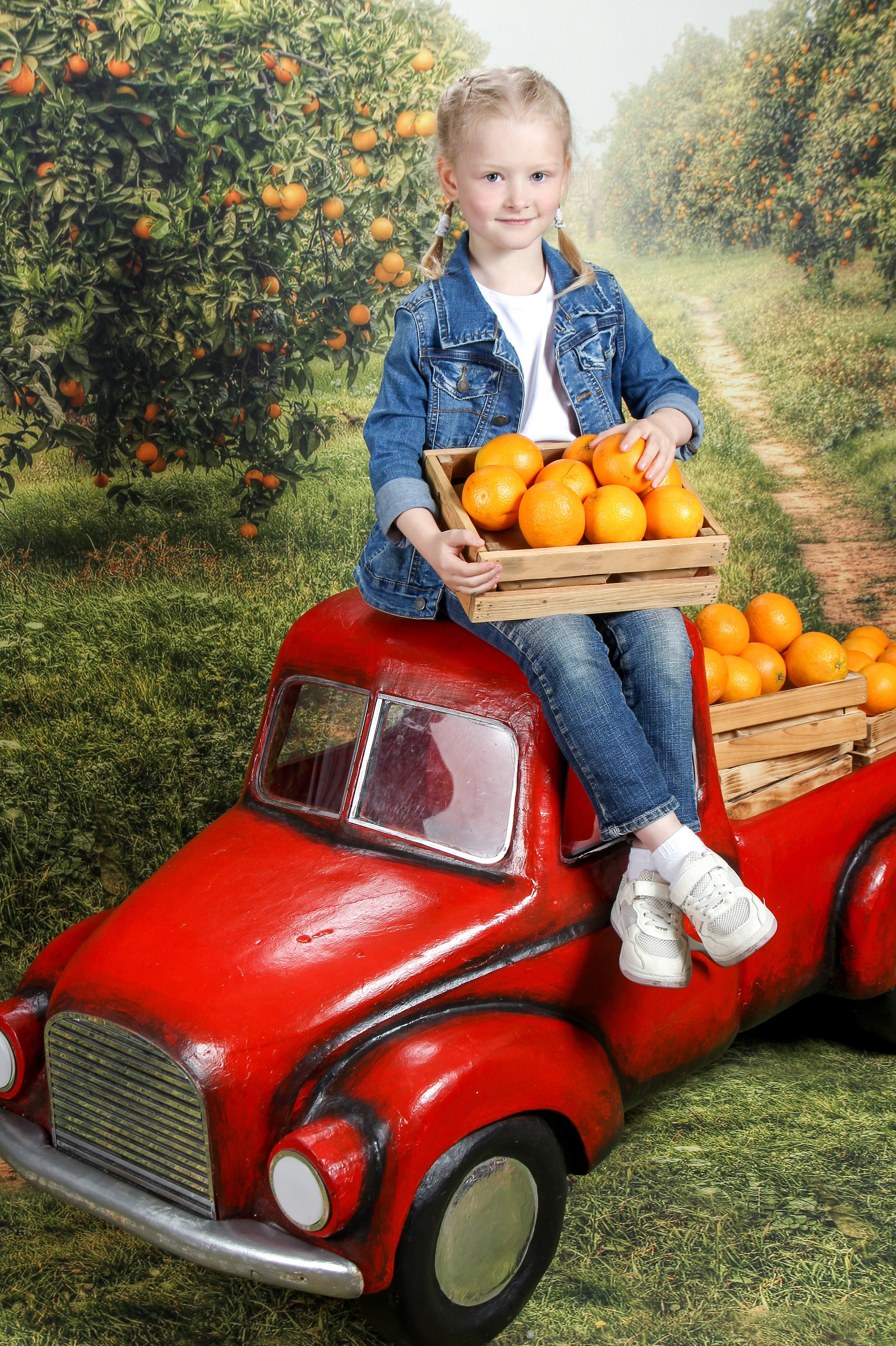 Портреты. Три Жирафа