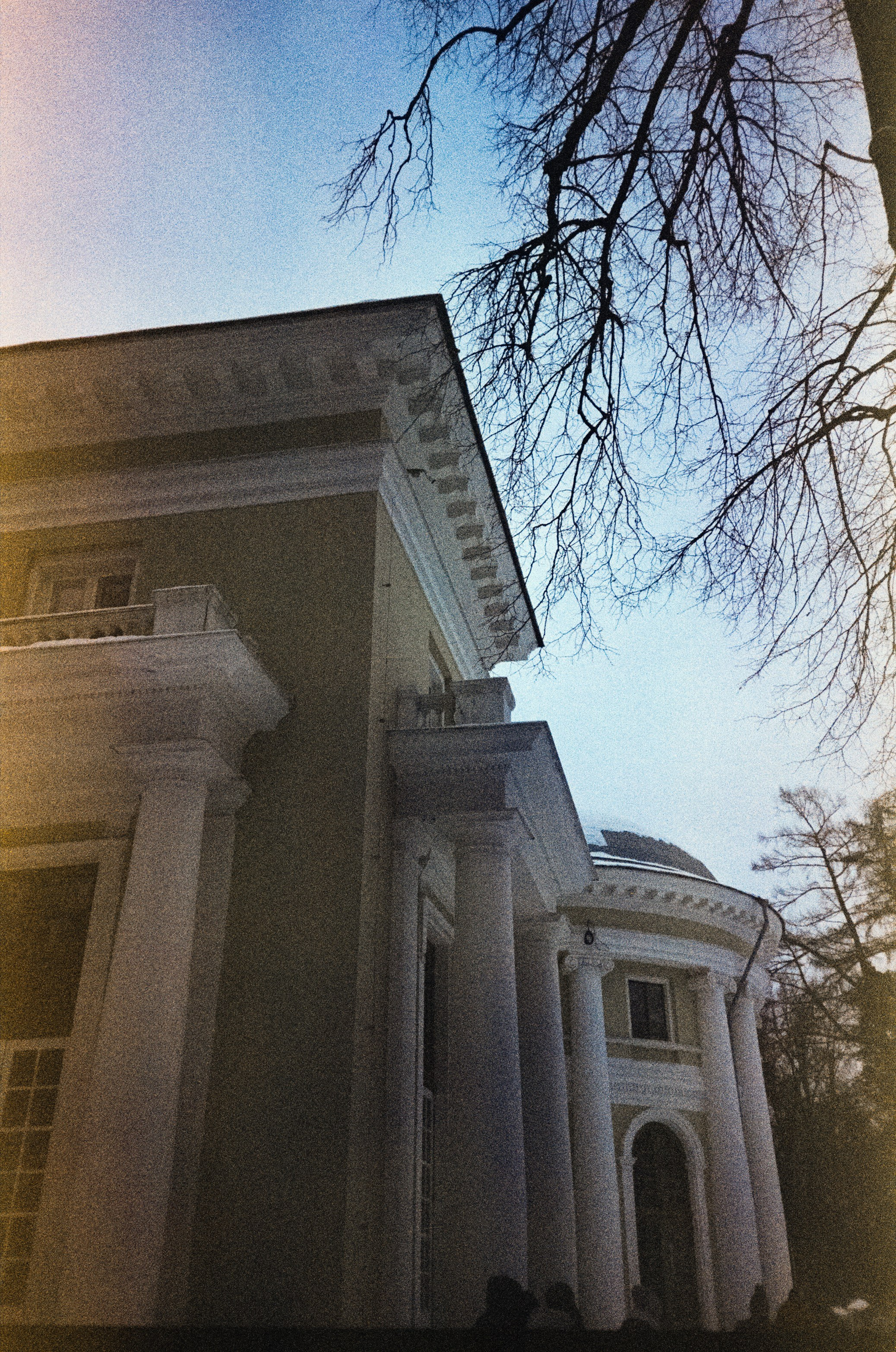 Fujicolor Superia 200 (просрочка) / Cosina CX-1 / 6 января 2025 года Усадьба Архангельское