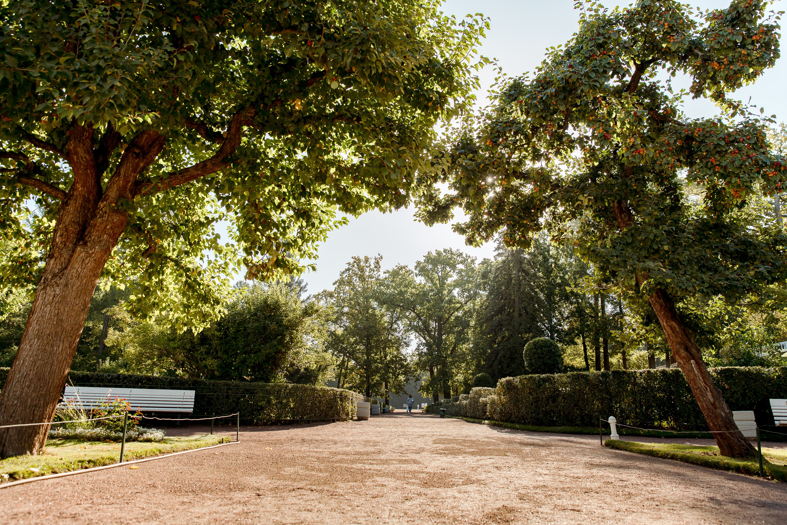 Санкт-Петербург, Питергоф осень 2023. Семейный и детский фотограф в Железногорске Саламахо Ольга