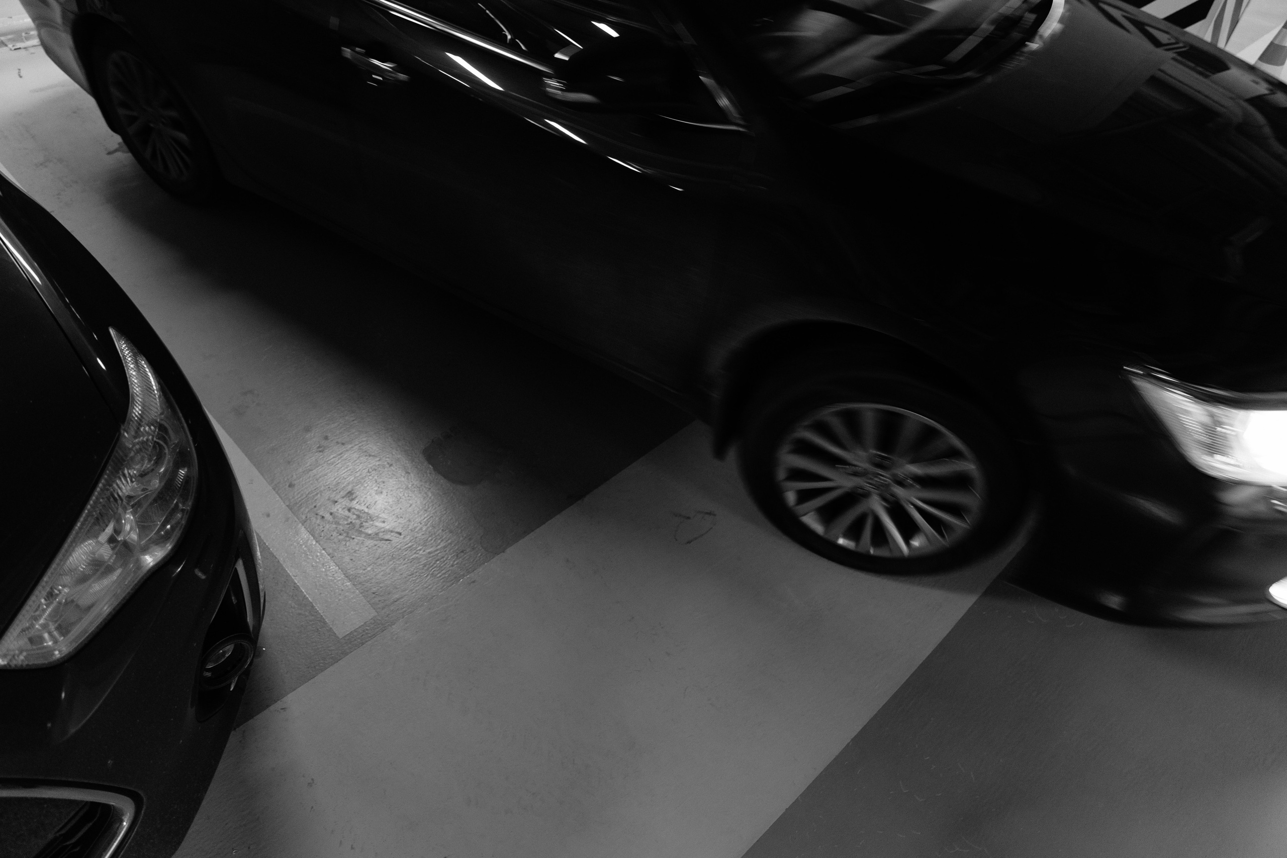 A&L. Фотограф в Новосибирске и Москве