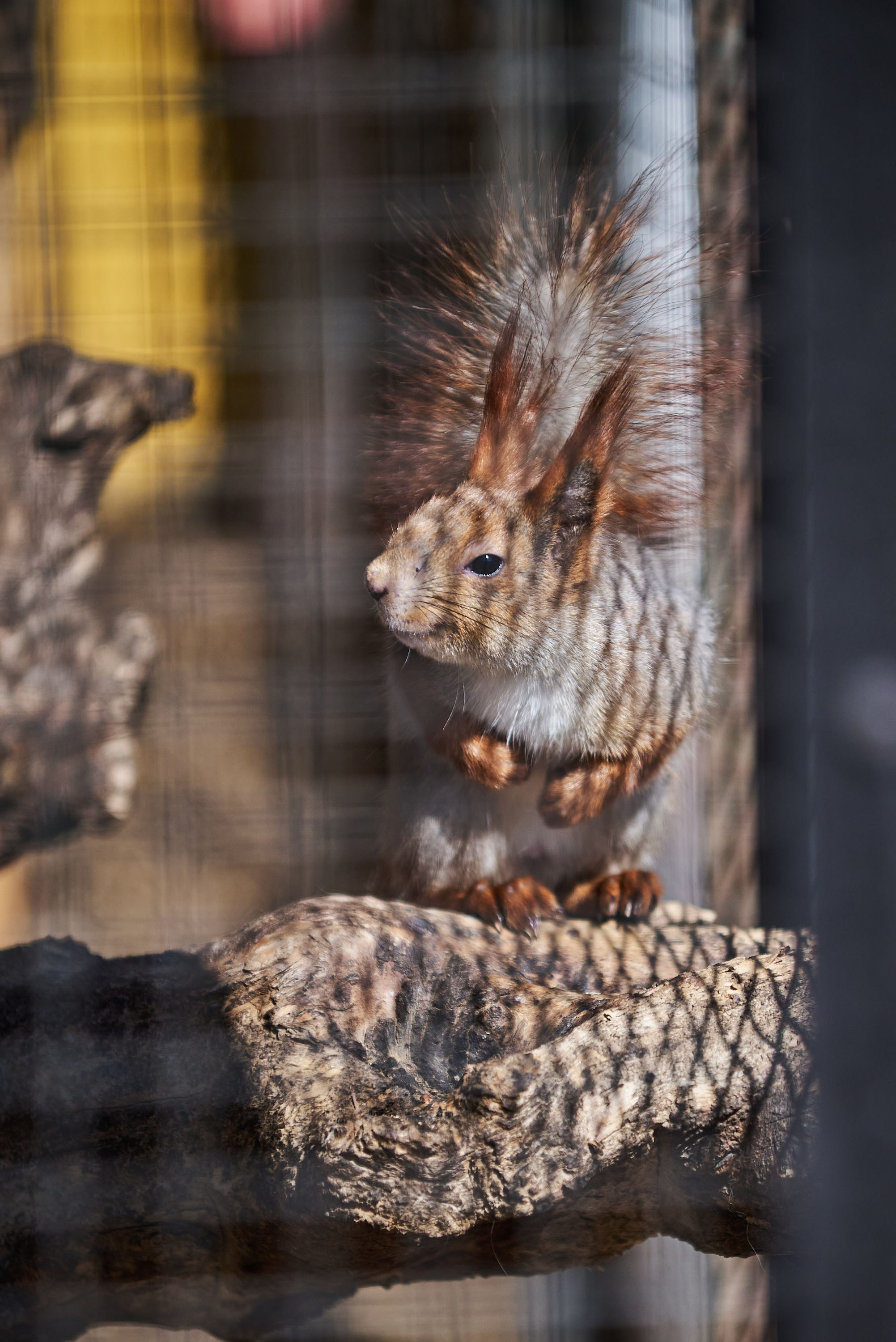 Зоопарк Иваново. Фотограф в Иваново: Каталожная съемка одежды и постельного белья, Wildberries