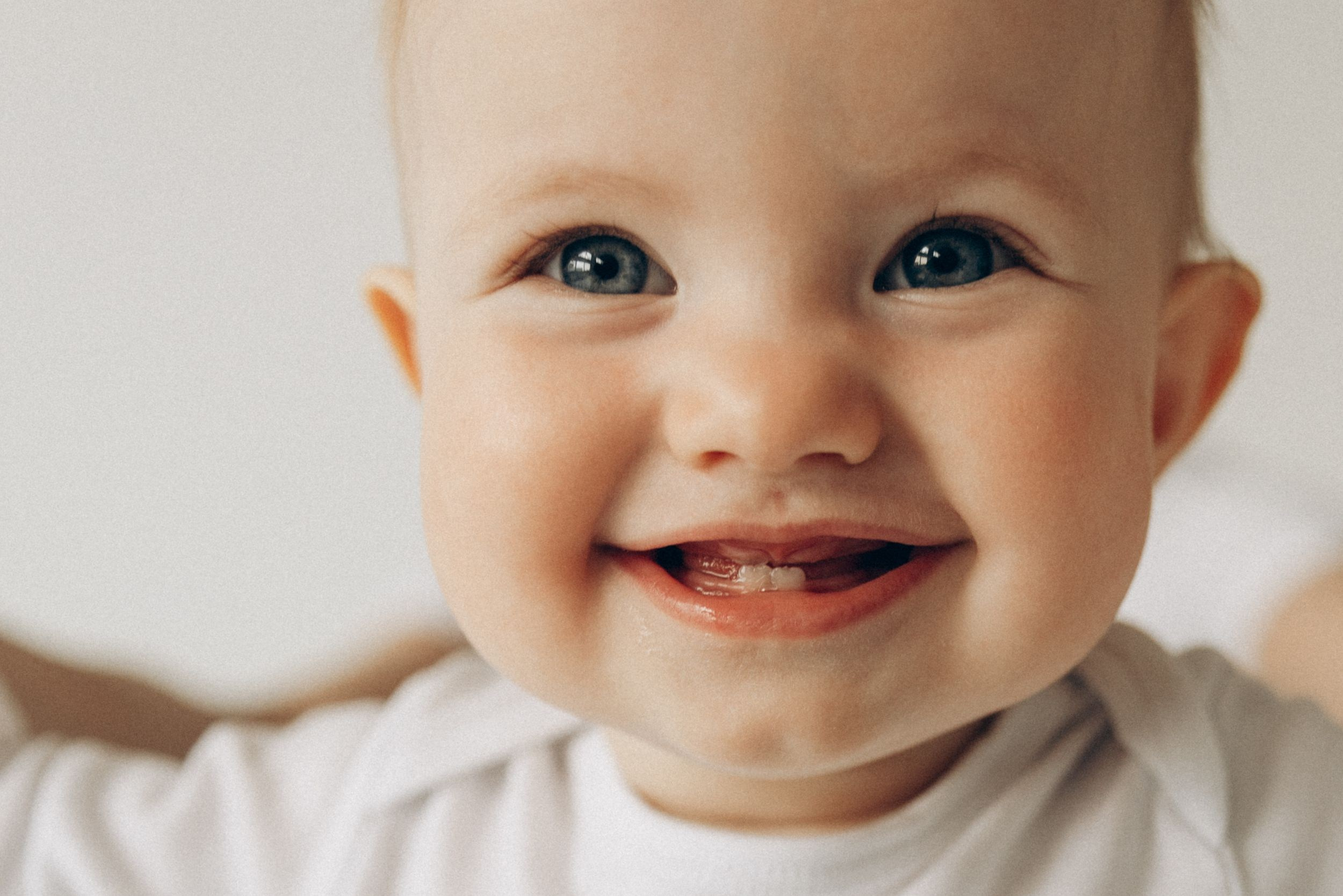 Услуги. Свадебный фотограф Химки