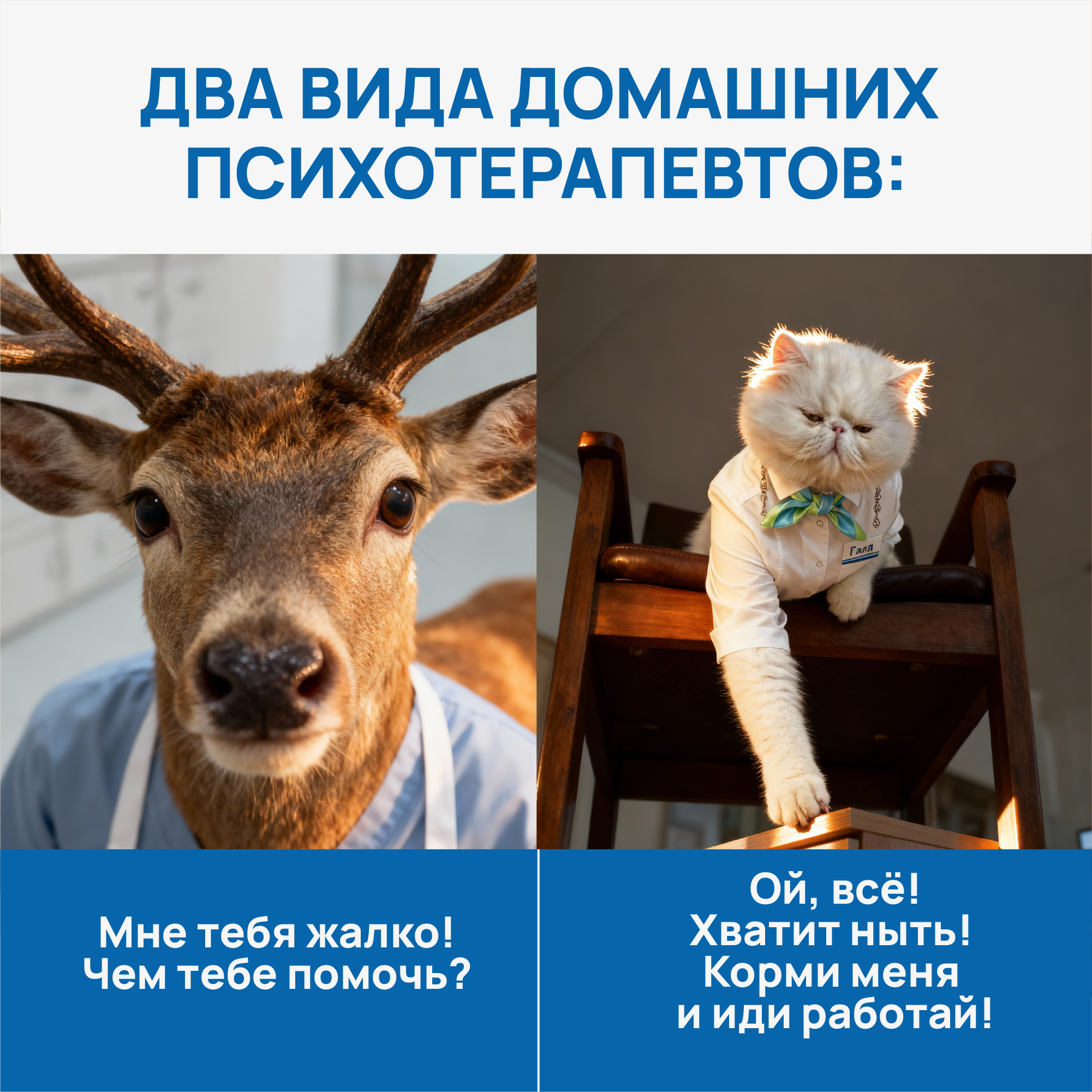 ИИ креативы. Женский и контент фотограф Люба Пунанцева. Северодвинск. Архангельск