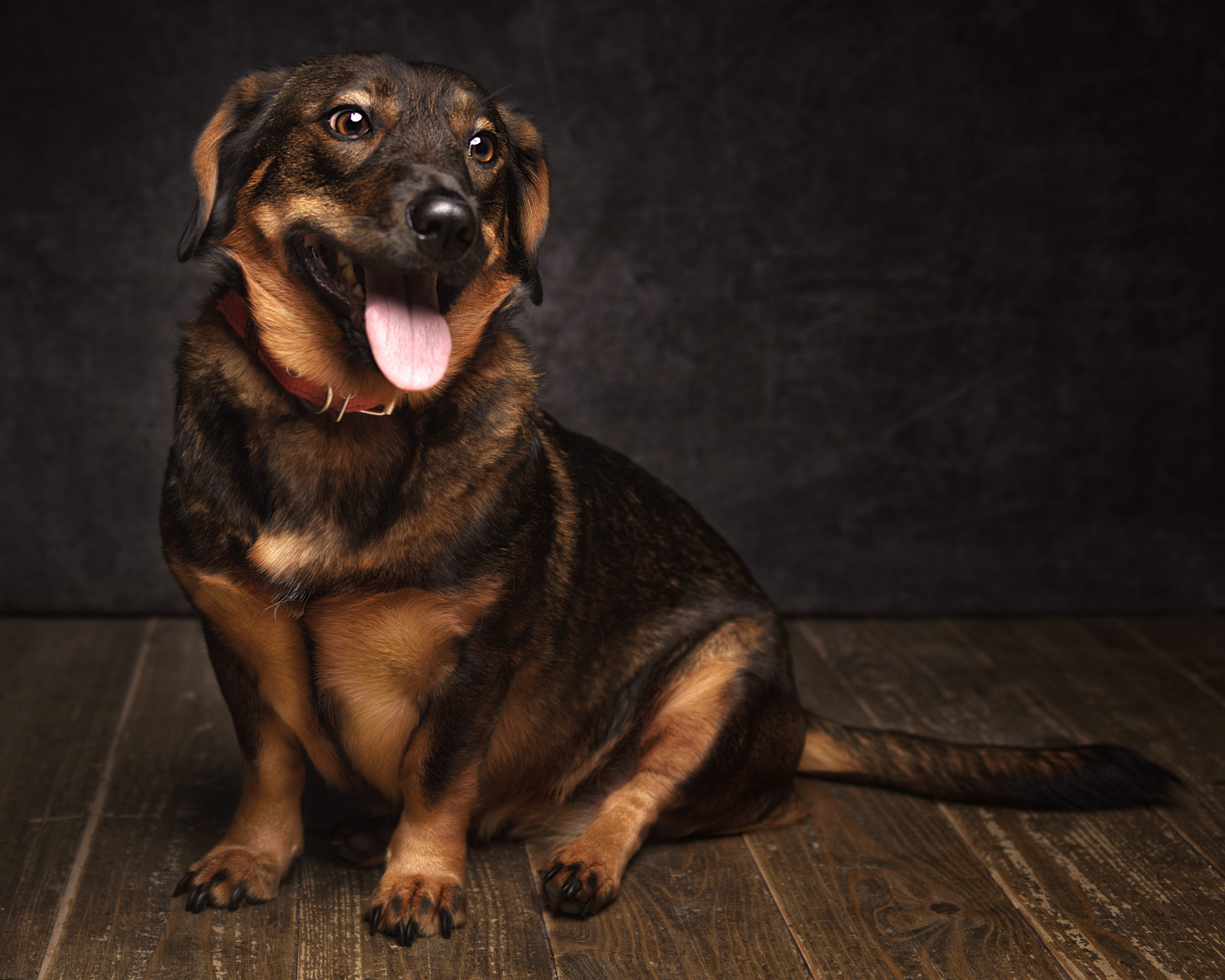 ДРУГ, НАЙДИСЬ. Антон Тимошевский, профессиональный портретный фотограф в Москве и Орле