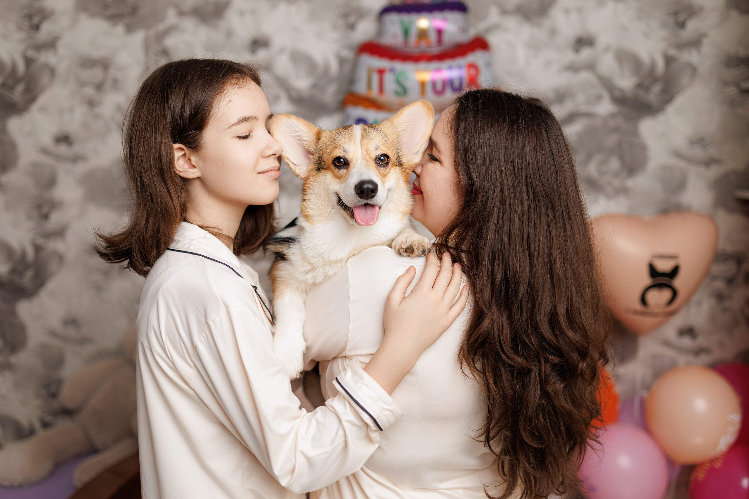 День рождения корги 🐕. Семейный и детский фотограф Комина Елена, Власиха, Одинцово