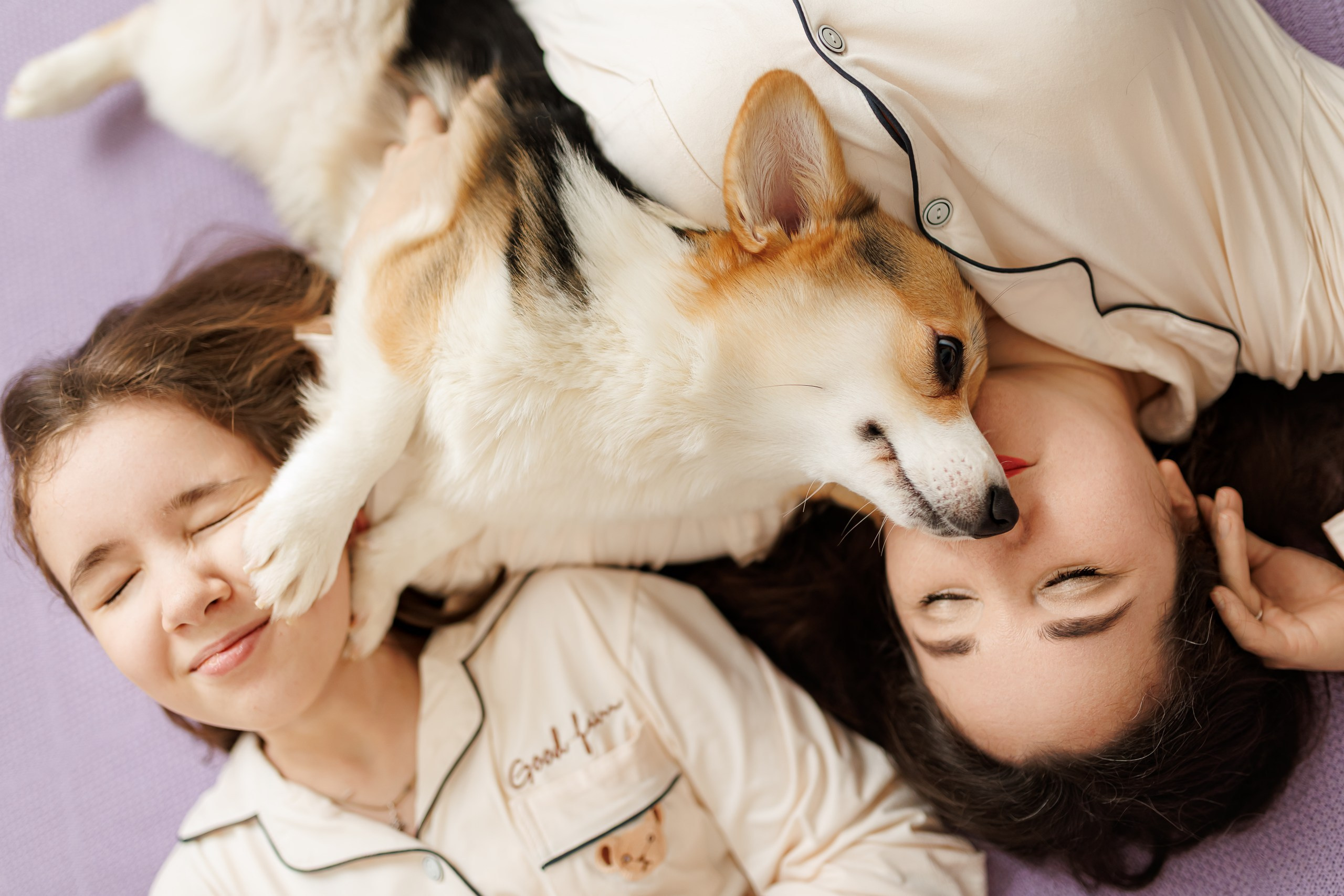 День рождения корги 🐕. Семейный и детский фотограф Комина Елена, Власиха, Одинцово