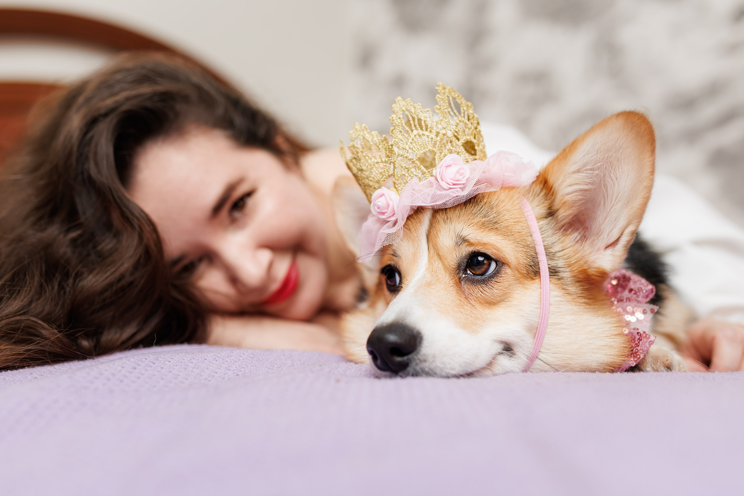 День рождения корги 🐕. Семейный и детский фотограф Комина Елена, Власиха, Одинцово