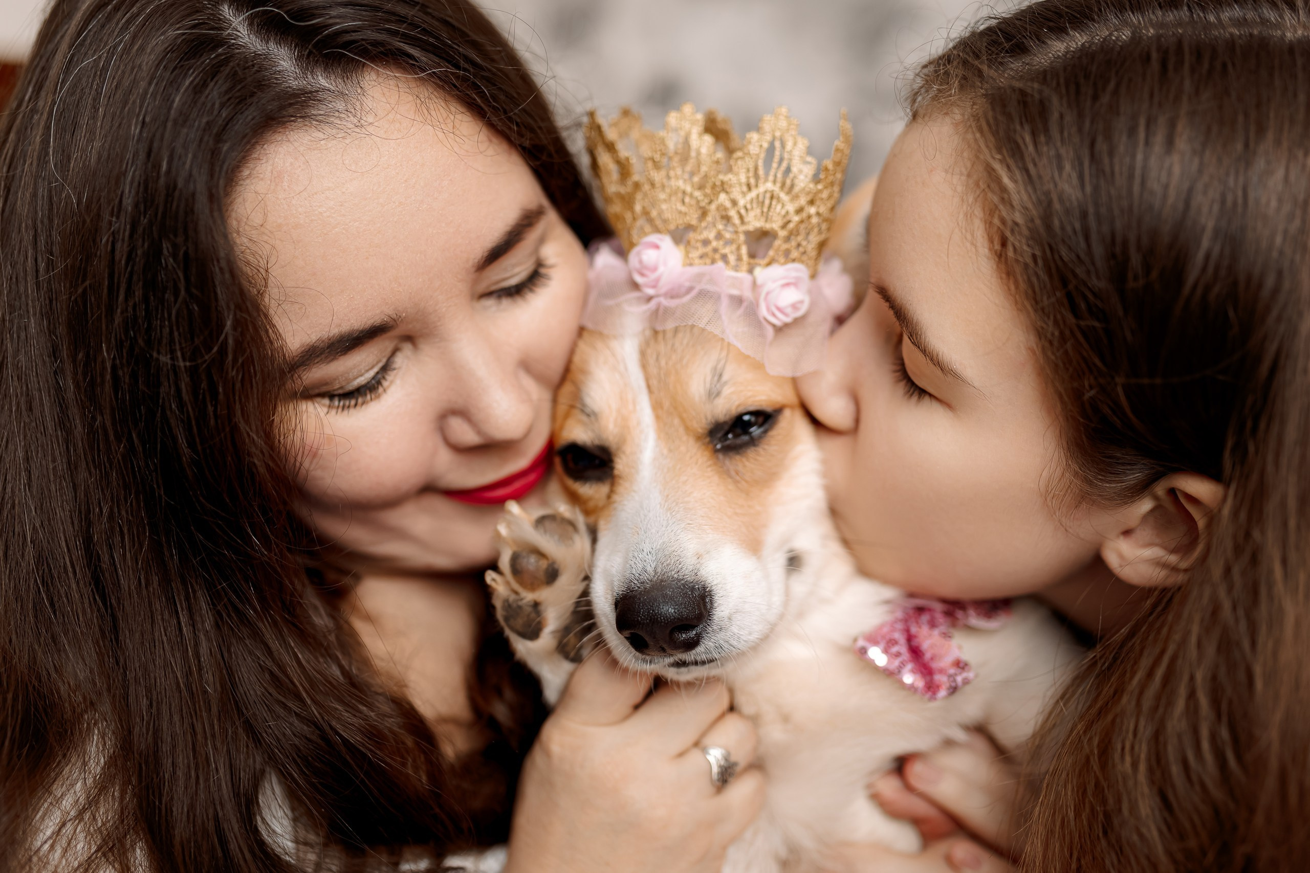 День рождения корги 🐕. Семейный и детский фотограф Комина Елена, Власиха, Одинцово