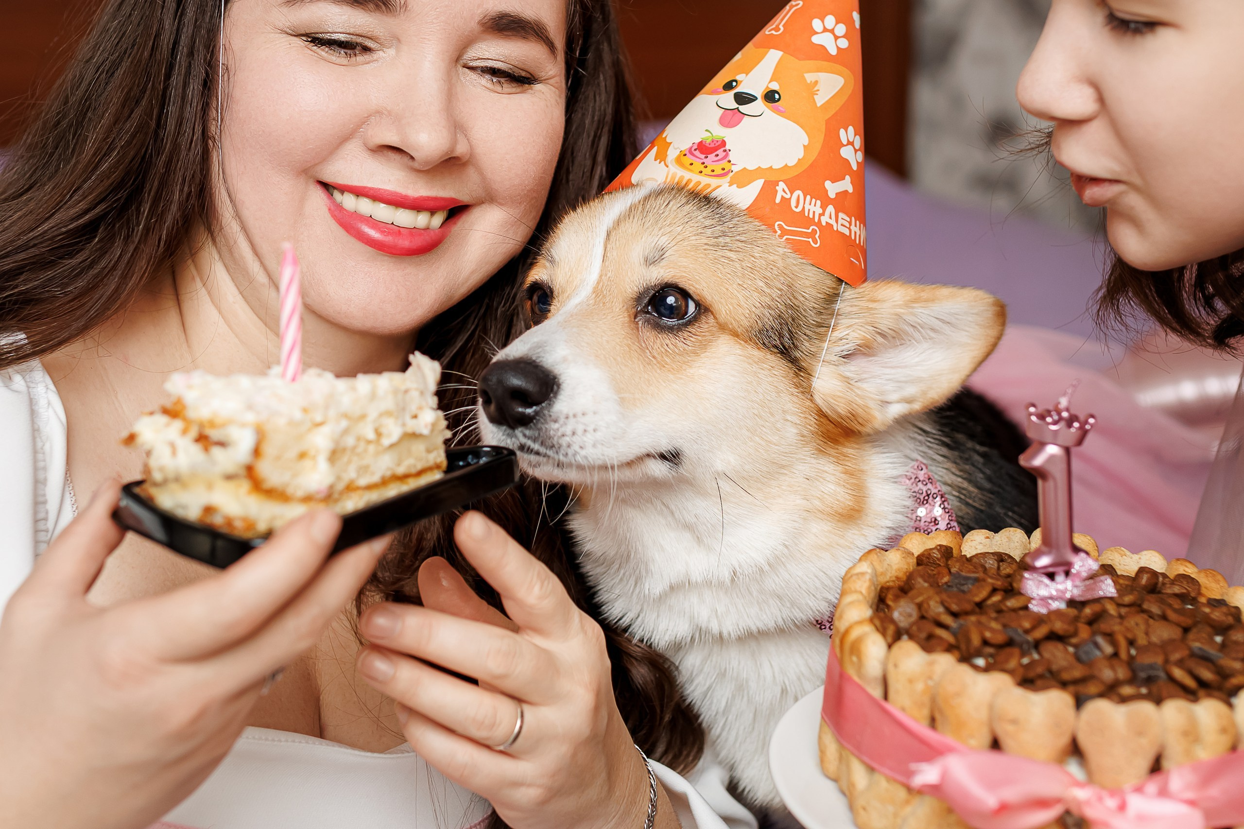 День рождения корги 🐕. Семейный и детский фотограф Комина Елена, Власиха, Одинцово