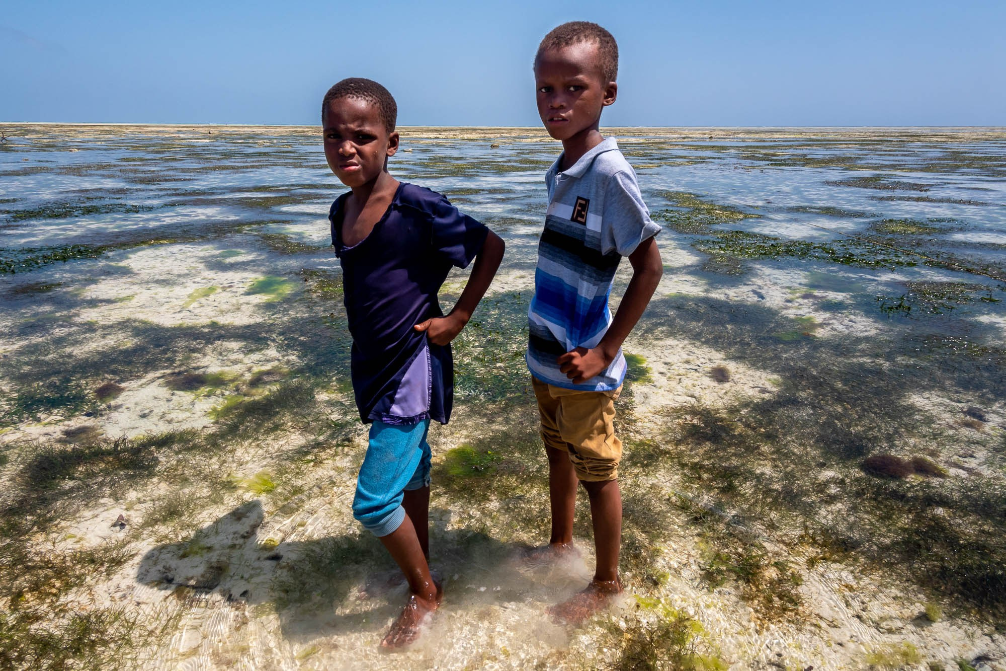Африка, Танзания, Занзибар, Нунгви. Africa, Tanzania, Zanzibar, Nungwi. Фотограф Алексей Скоробогатько