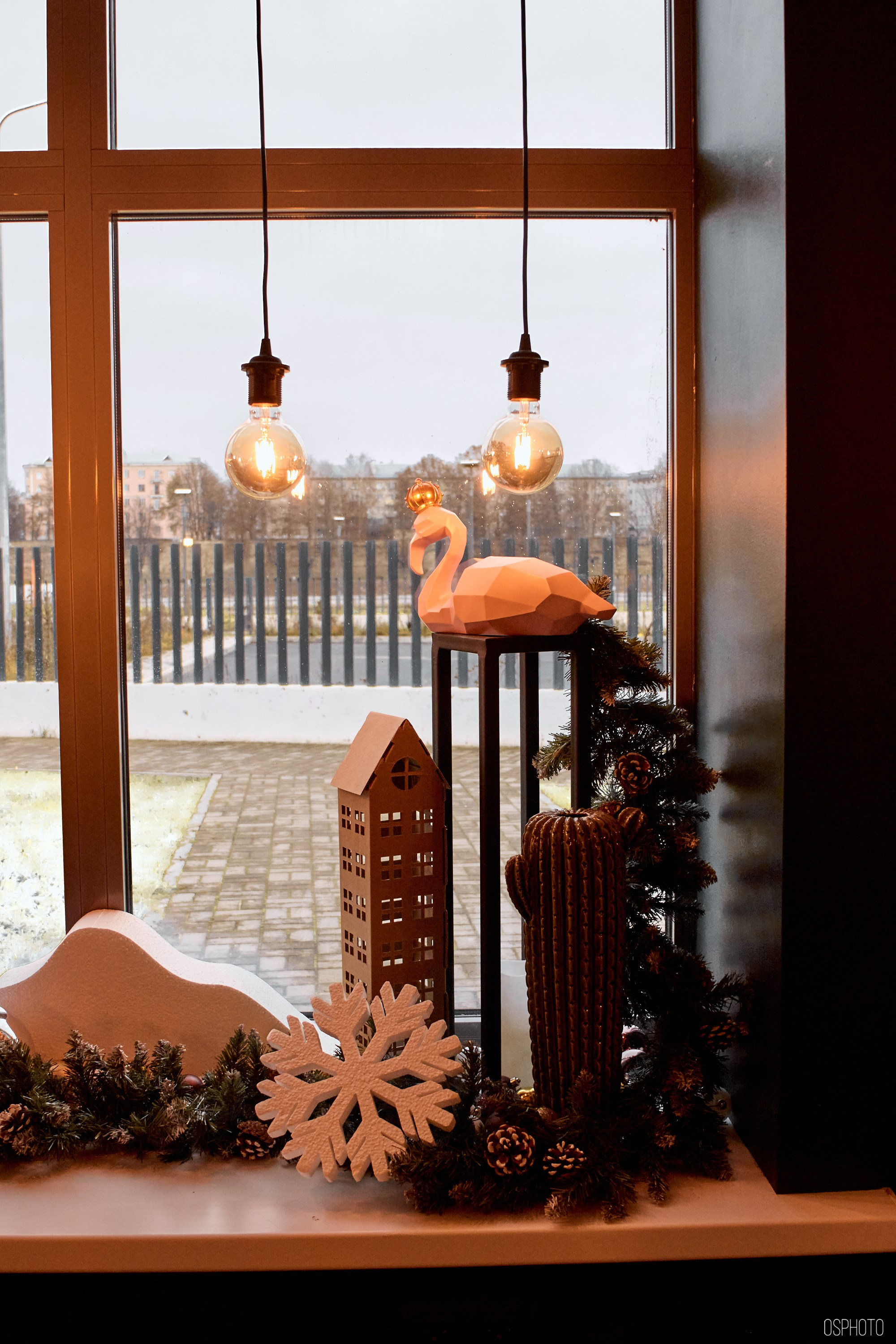 Псков. Ноябрь. Фотографъ Сергѣевъ. Поймать мгновеніе