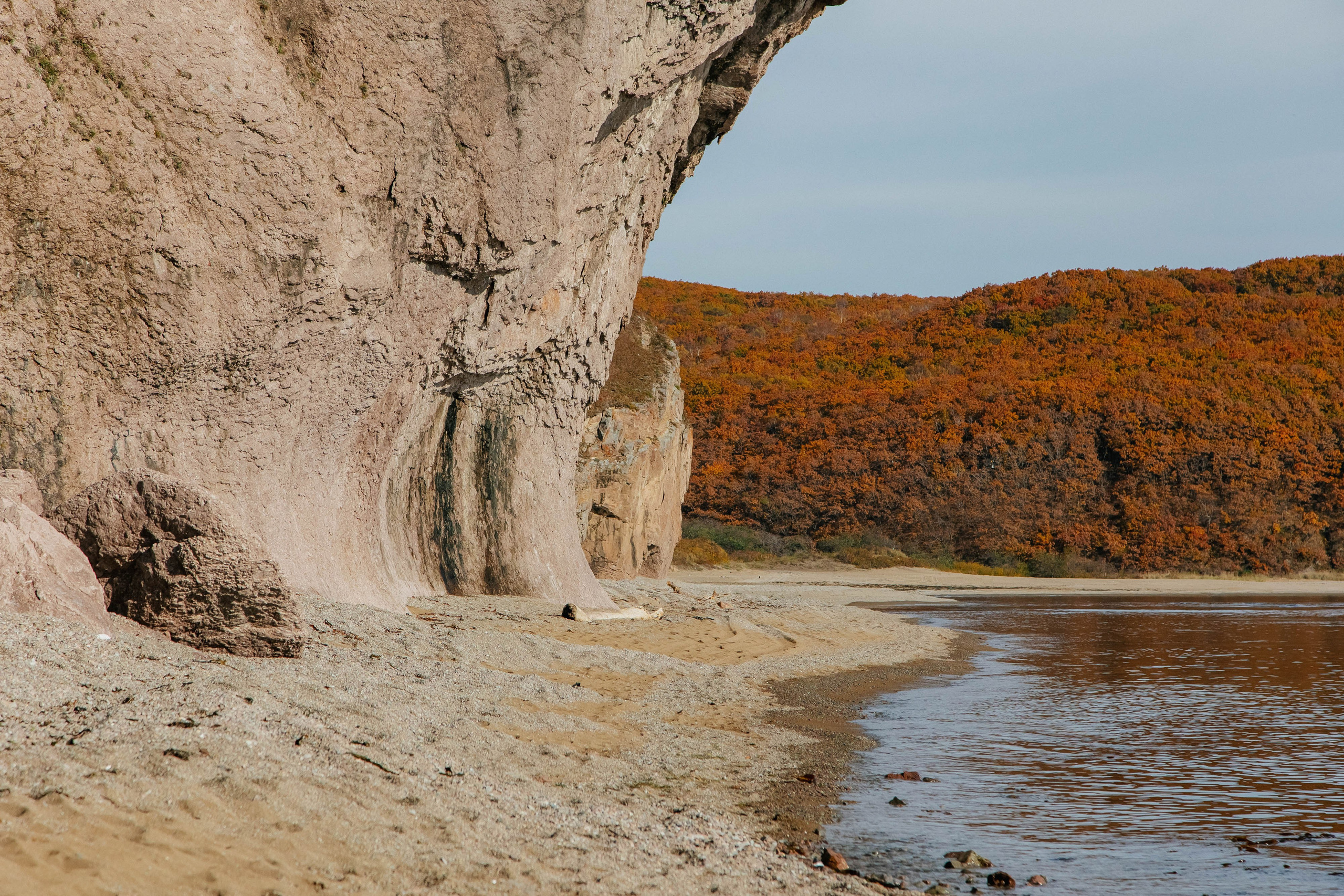 Пока не застроили. Evgeniya Kokurina