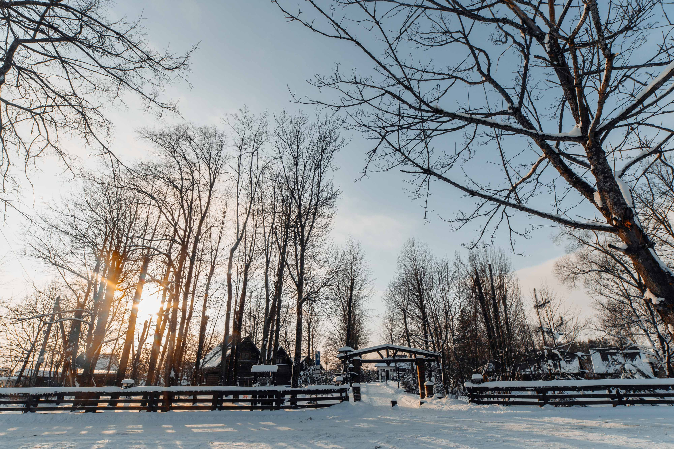 Свадьба Александры и Александра. Свадебный фотограф Вашкевич Денис